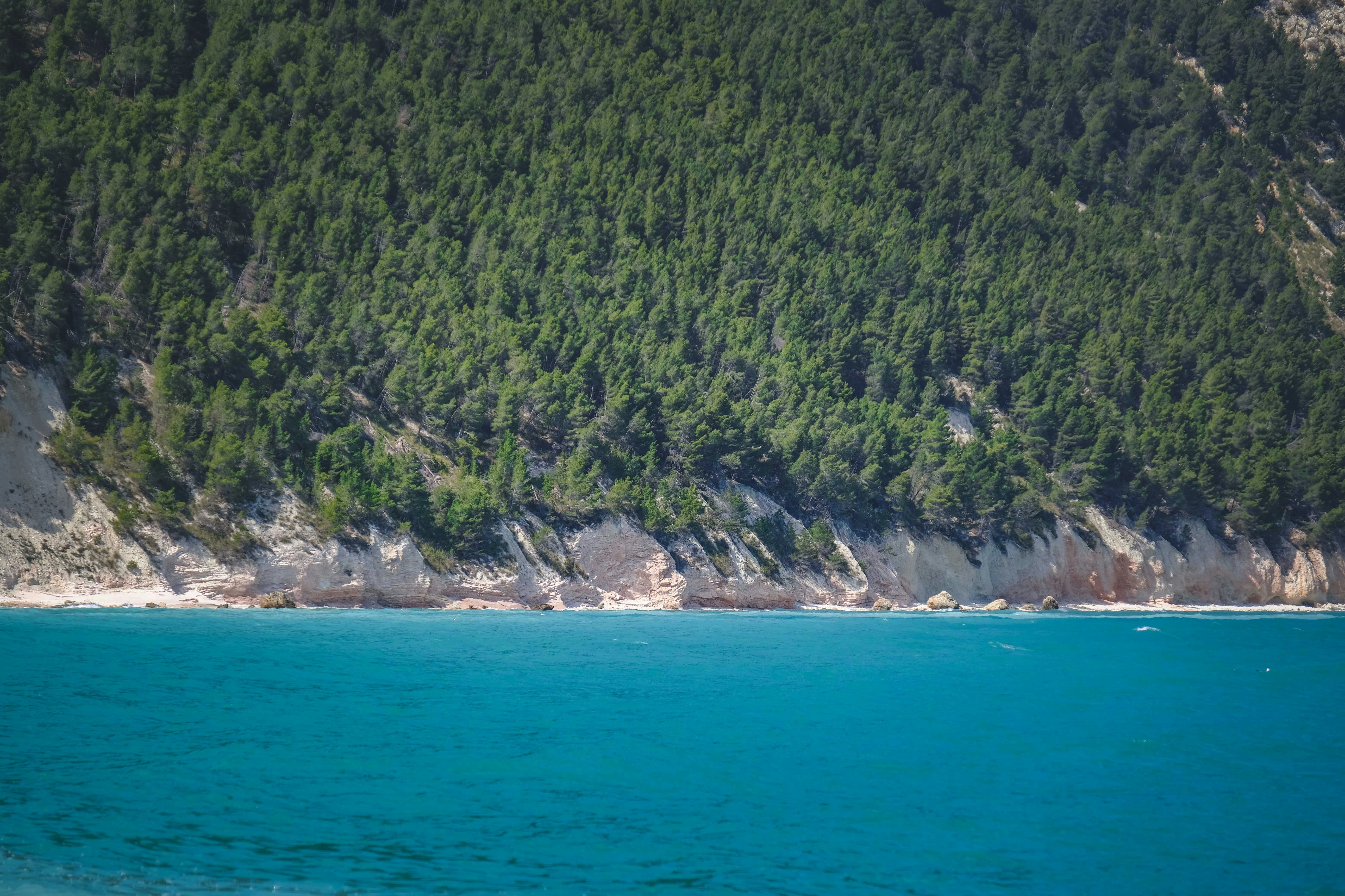 Photo by francesco_ungaro