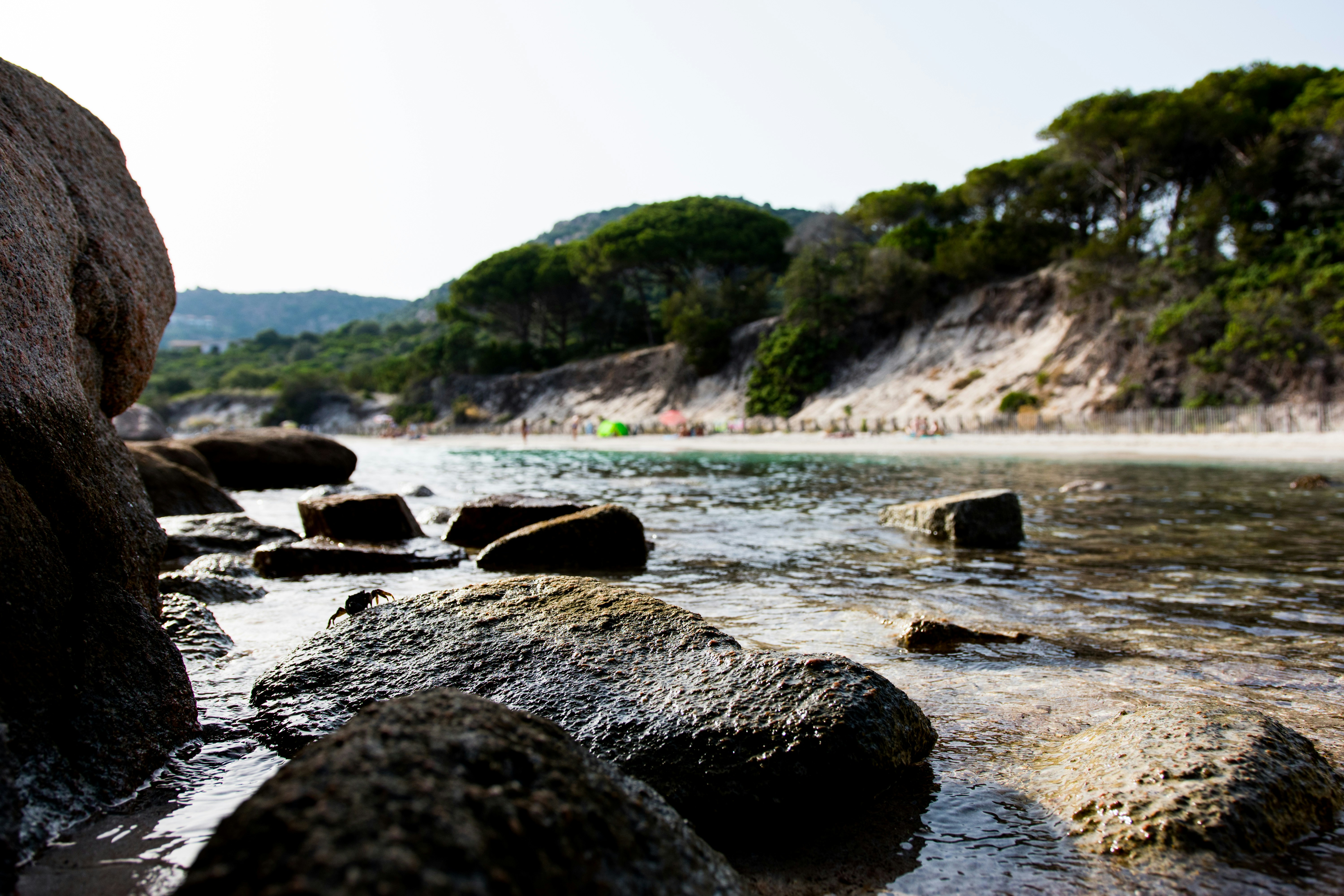 Photo by ptrlt_photo