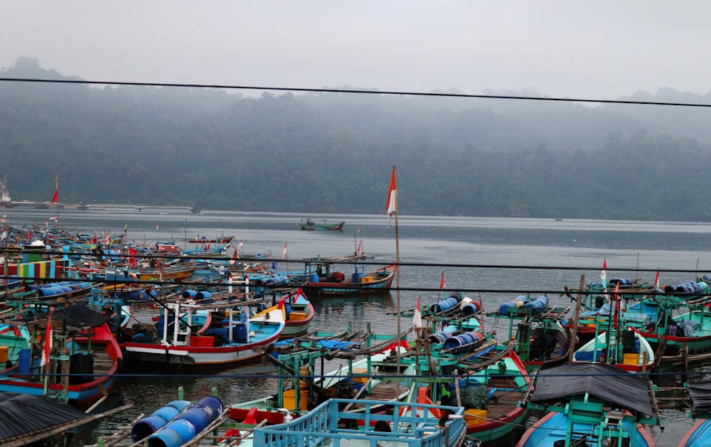 boats in a harbor