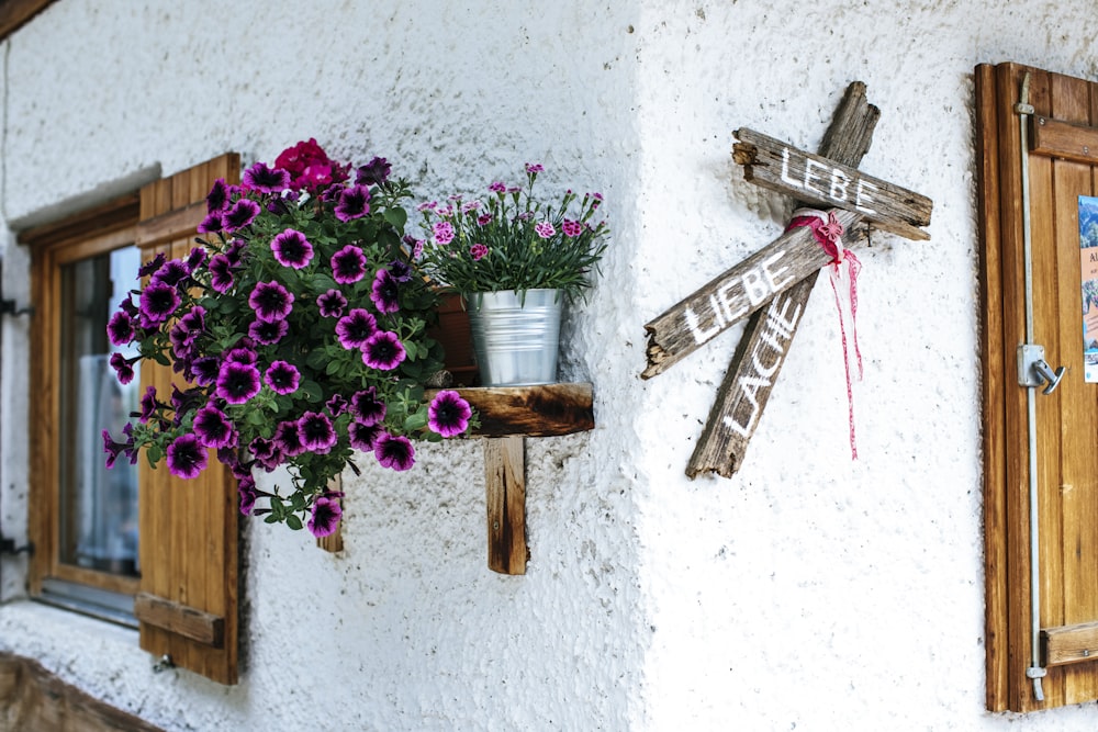 quelques fleurs en pot sur un mur à côté d’une porte