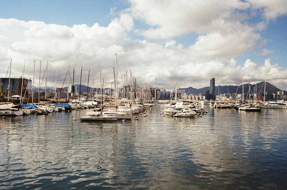 Un puerto lleno de barcos