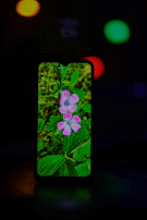 Bright floral wallpaper on a Samsung Galaxy J7, highlighting fresh spring colors and lively details.