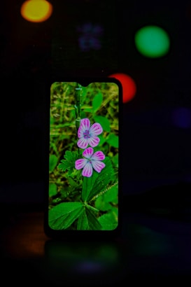 A smartphone screen displays vibrant pink and purple flowers with detailed petals set against a backdrop of lush green leaves. The phone stands out against a dark background with faint orbs of colorful lights visible around it.