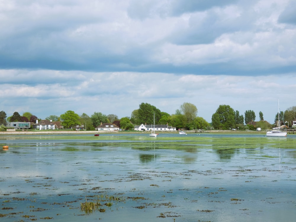 a body of water with boats in it and trees in the back