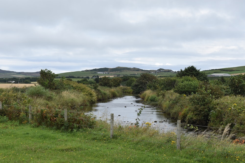 a stream running through a grassy area