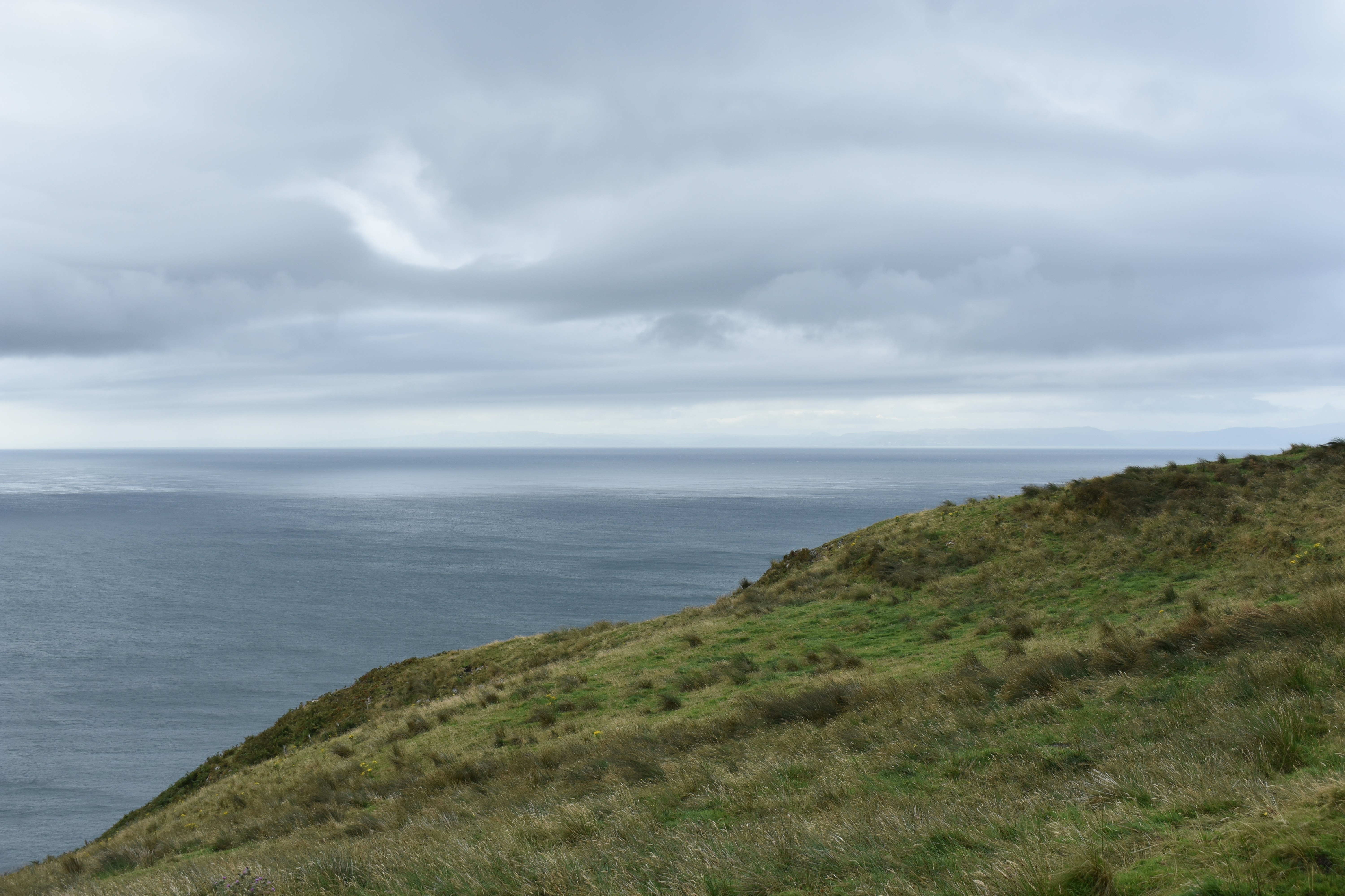 Photo by andrew_hall