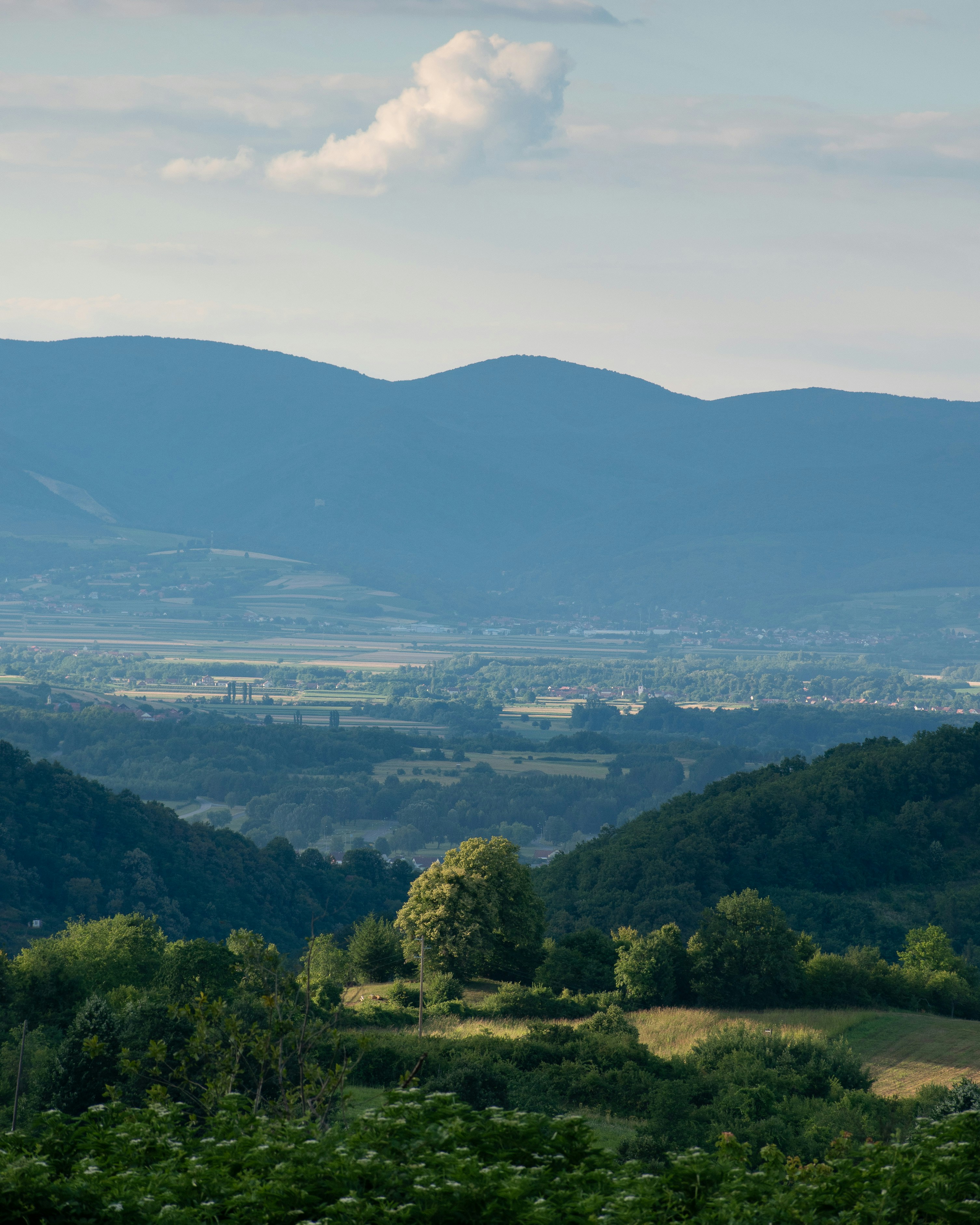 Photo by vjeblackbirdlion