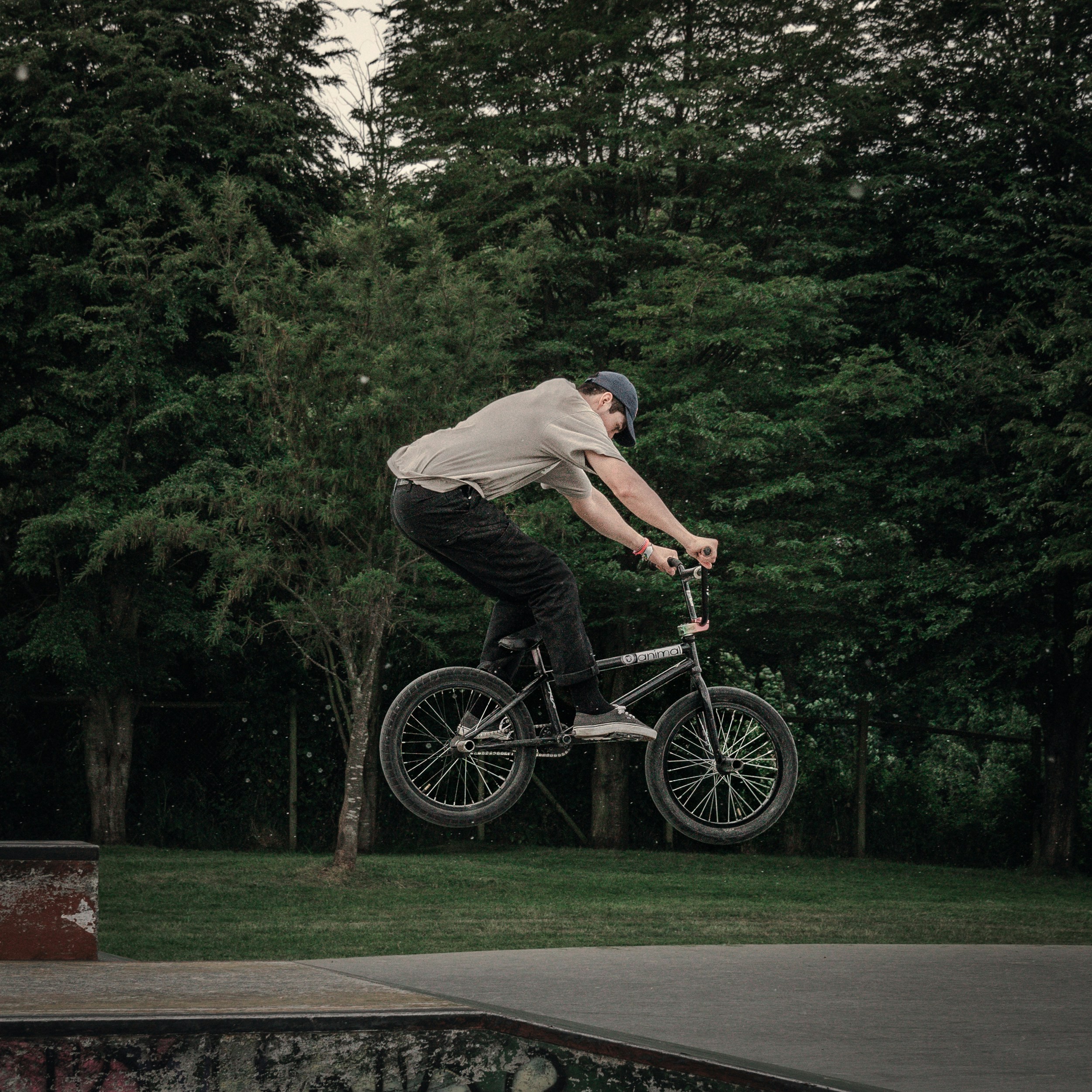 Photo by sebamatamala