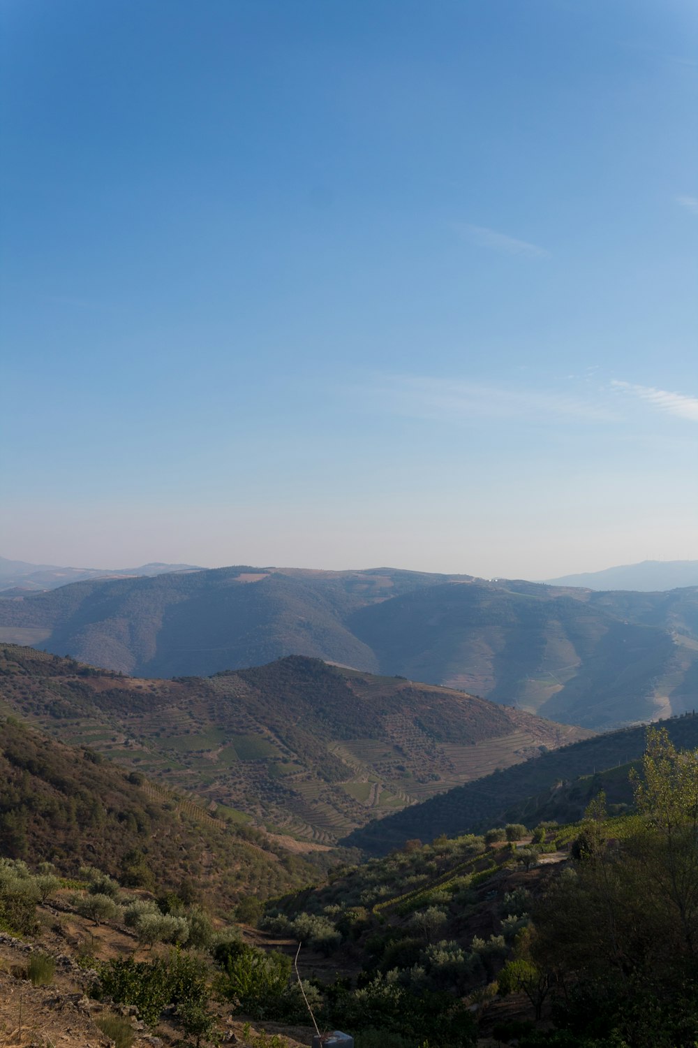 a landscape with hills and trees