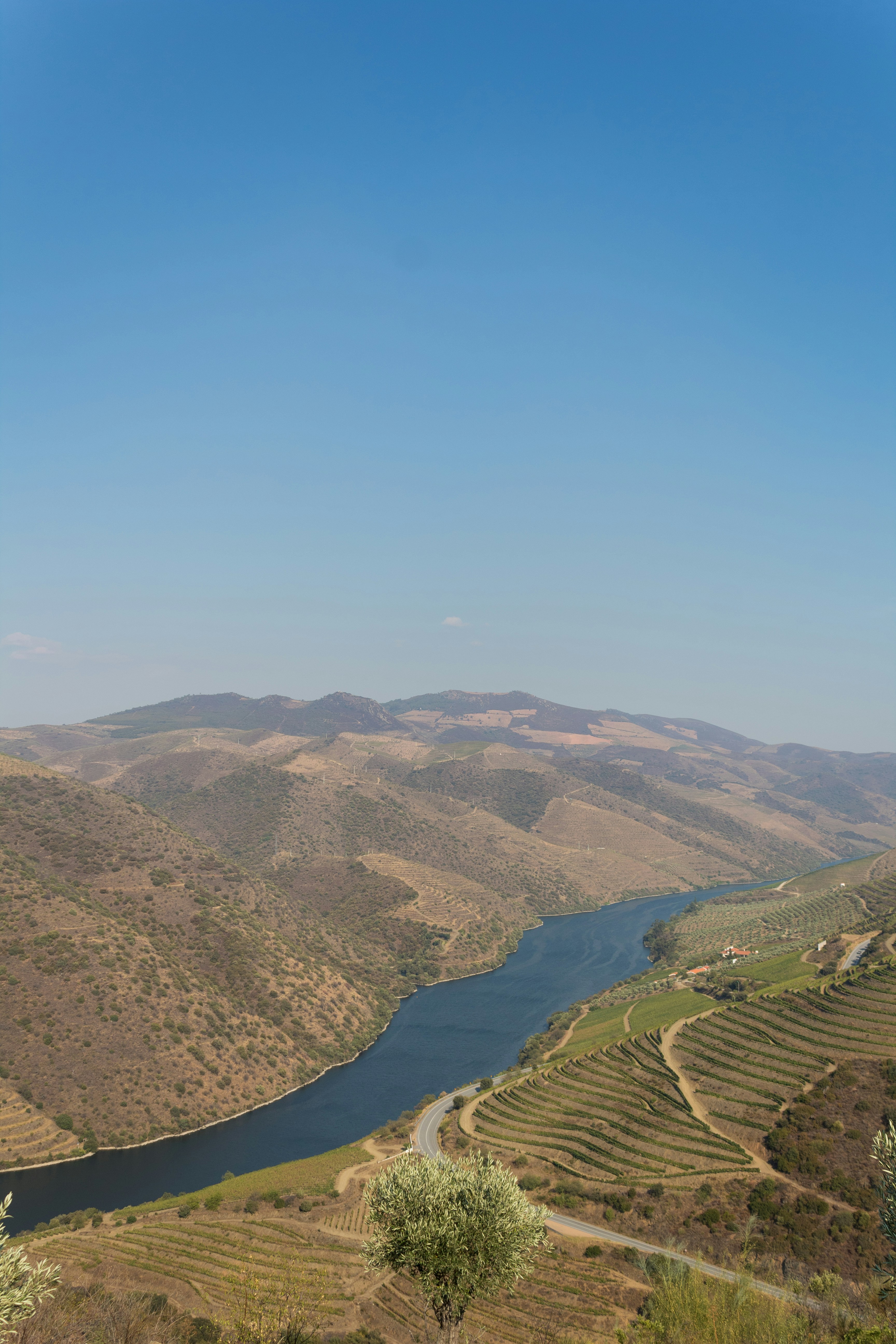 Afternoon — Quinta Hopping Along the Pinhão Valley