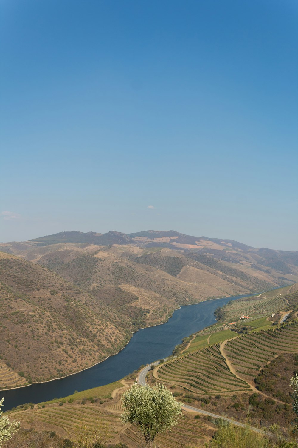 a river running through a valley