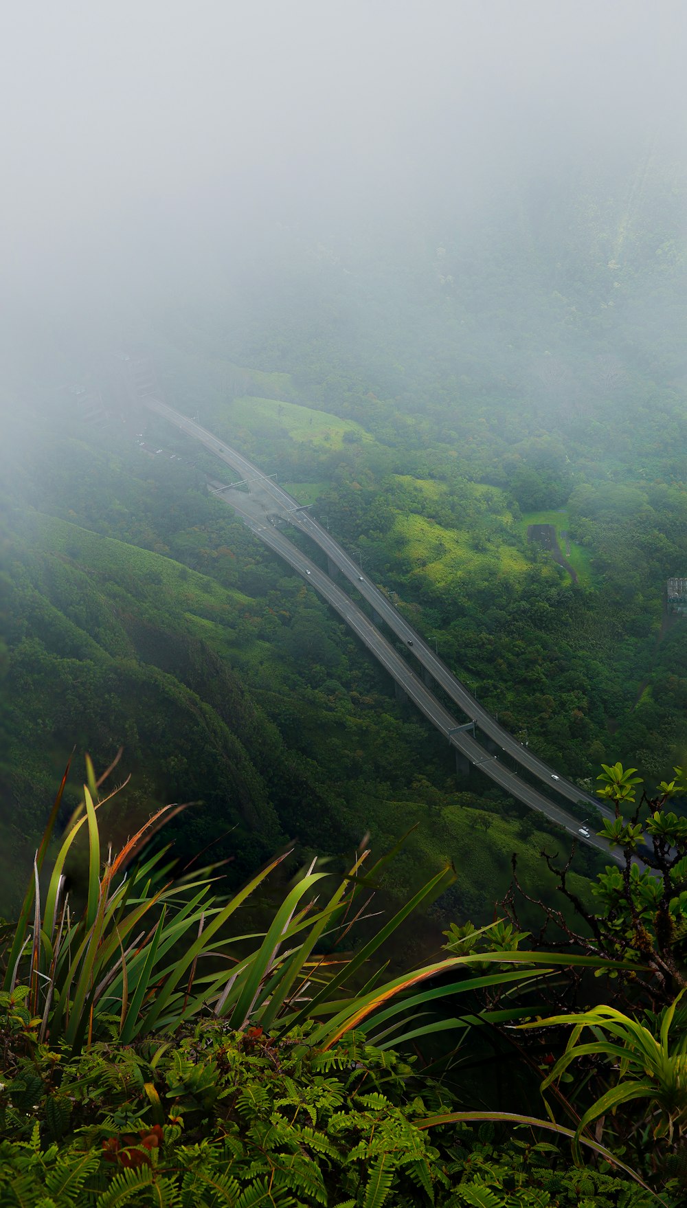 a winding road through a forest