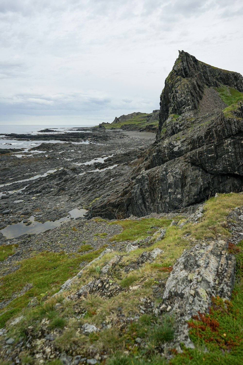 a rocky beach with grass and rocks