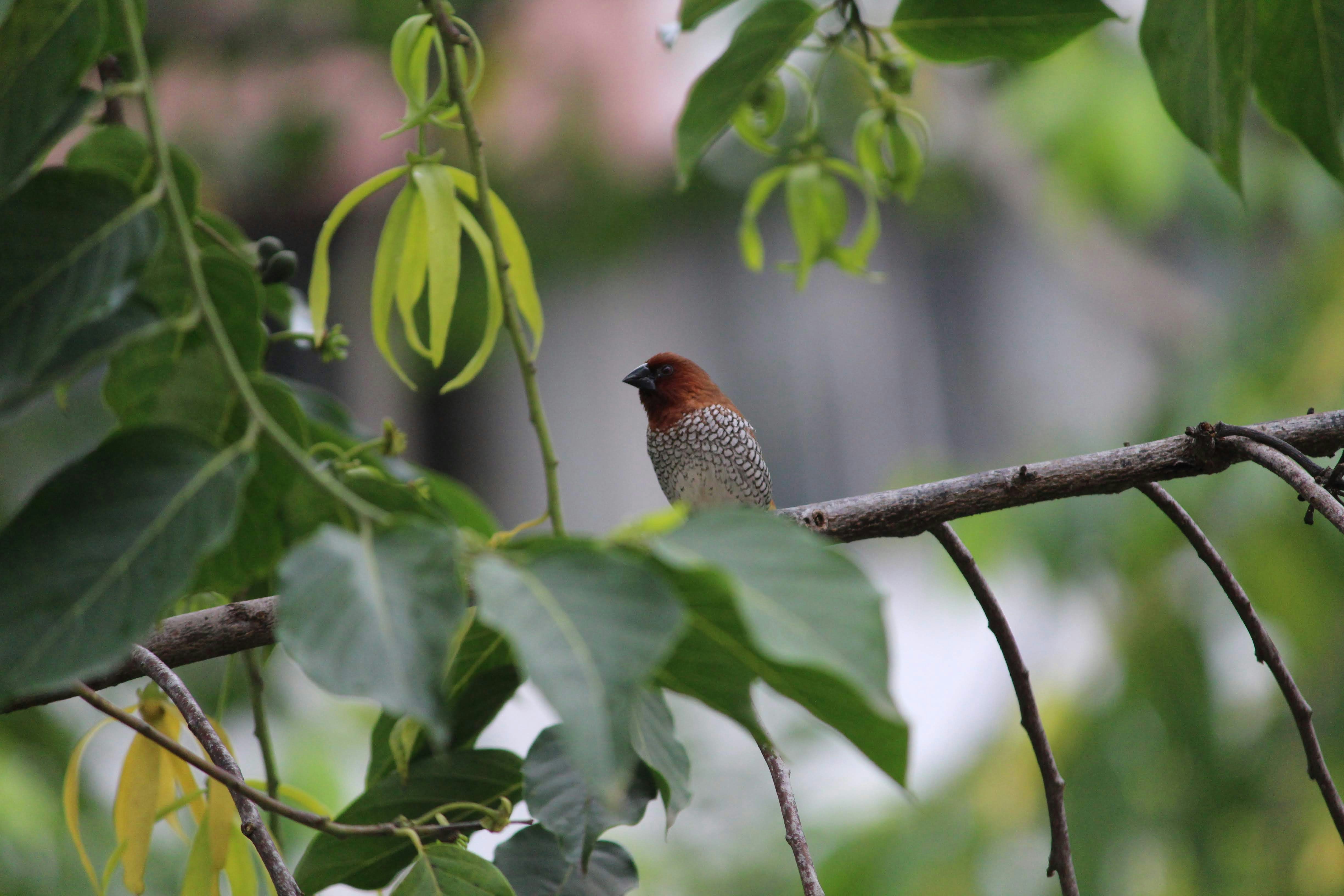 Photo by atulbhalerao