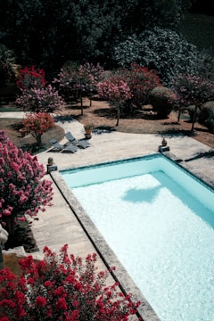 a pool with a bench and trees around it