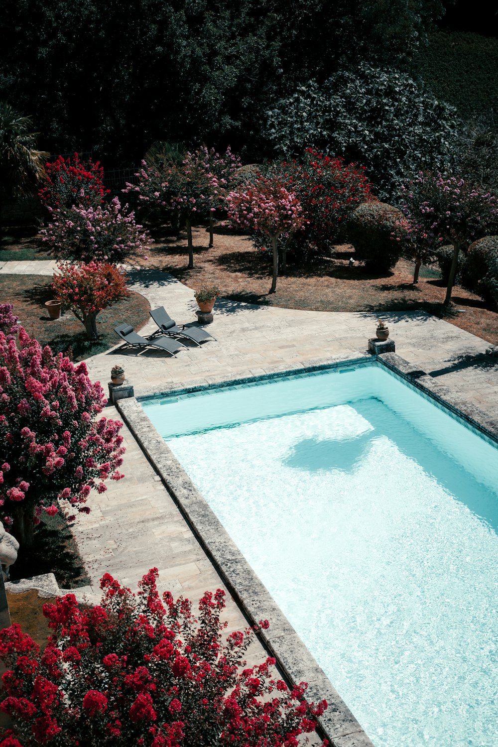 a pool with a bench and trees around it