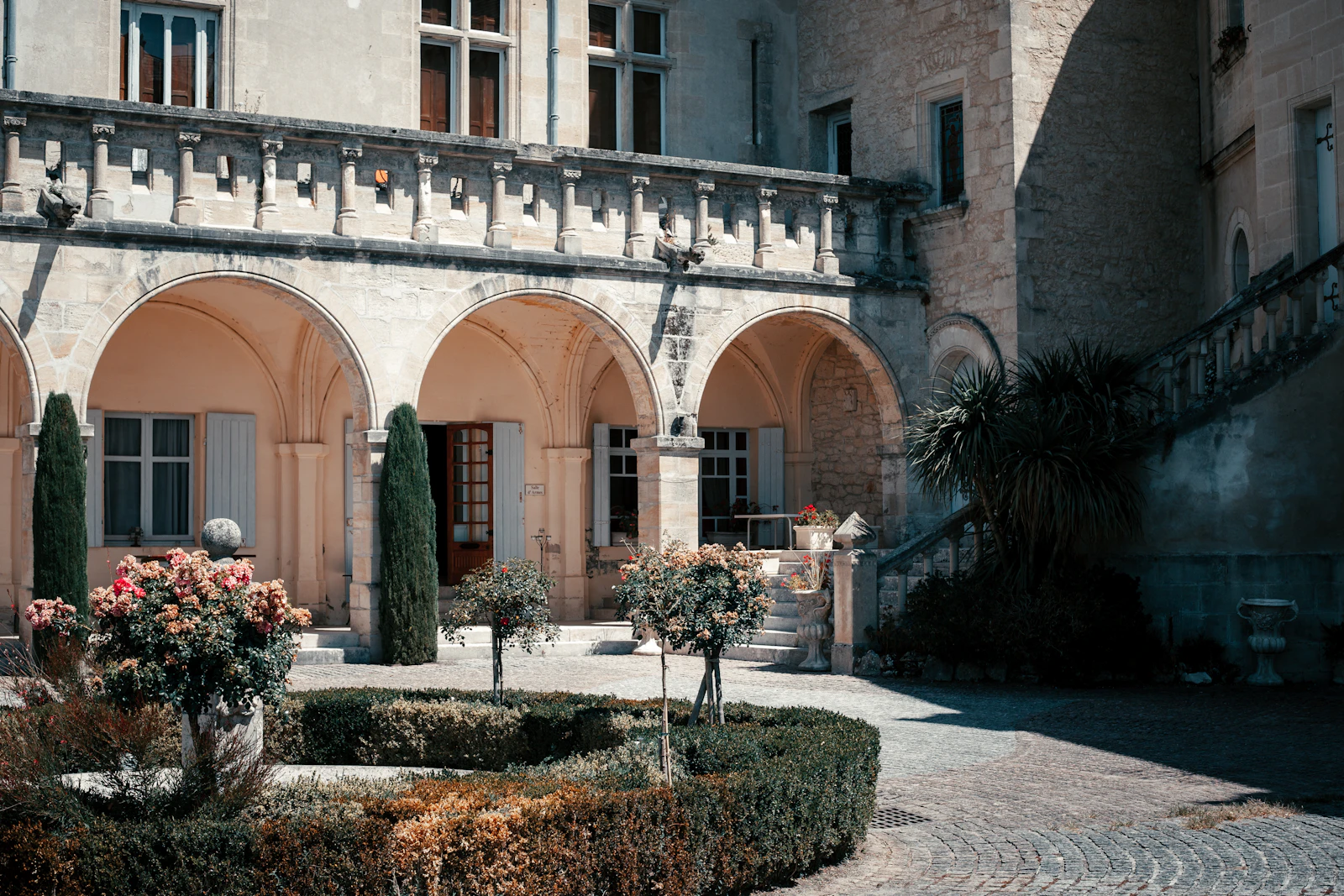 Bordeaux vineyard landscape