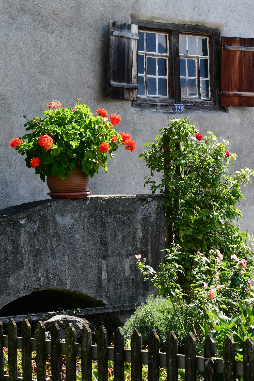 Ein Pflanzgefäß mit Blumen vor einem Gebäude