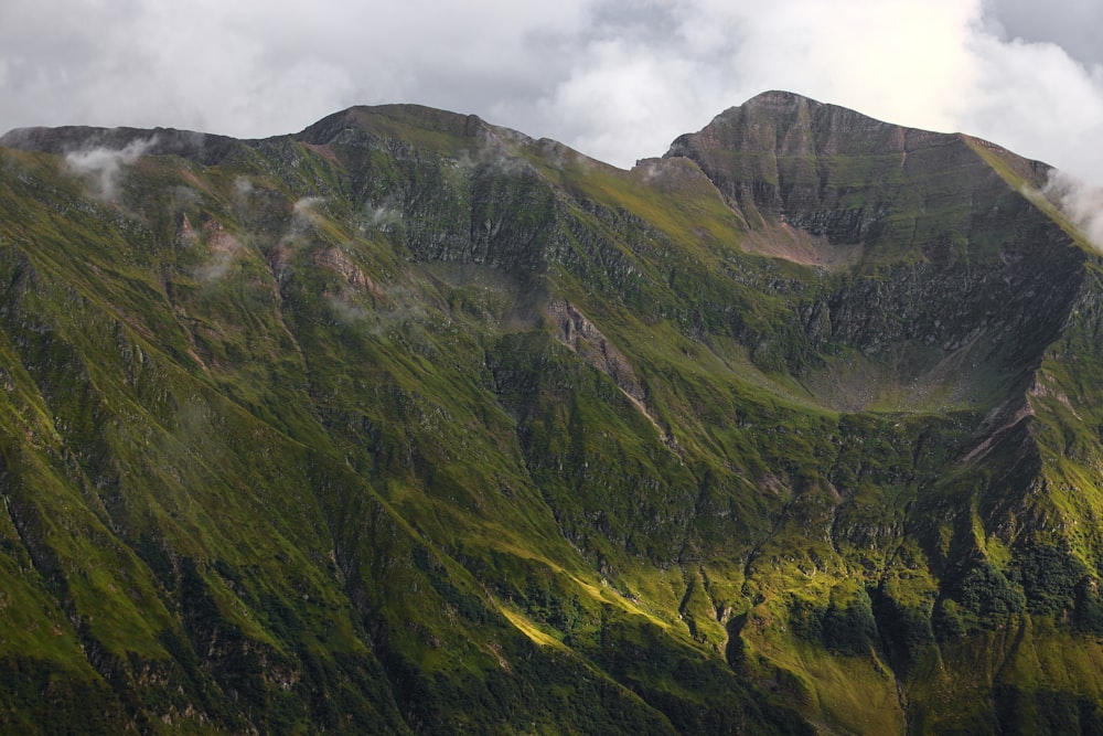 緑の草が生い茂る山