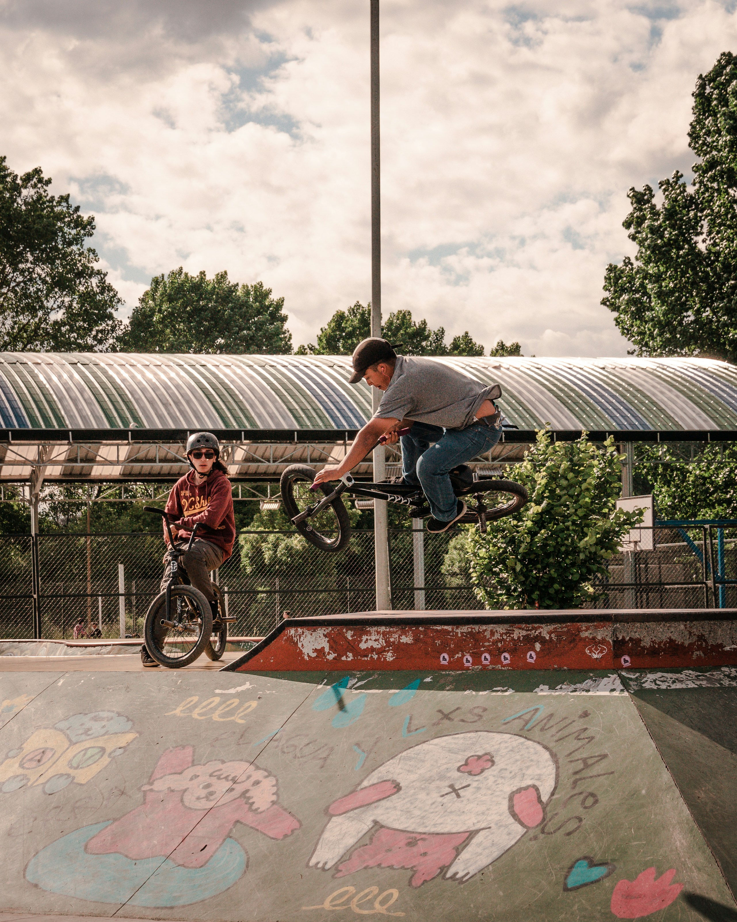 Photo by sebamatamala