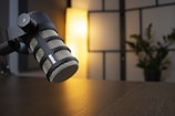 Softly lit studio microphone surrounded by calming plants and cozy decor.