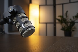 A professional microphone is positioned prominently on a wooden table with a modern design. Behind it, a softly lit yellow lamp casts a warm glow, illuminating a section of a room divider. A plant adds a touch of greenery, contributing to a warm and inviting atmosphere.