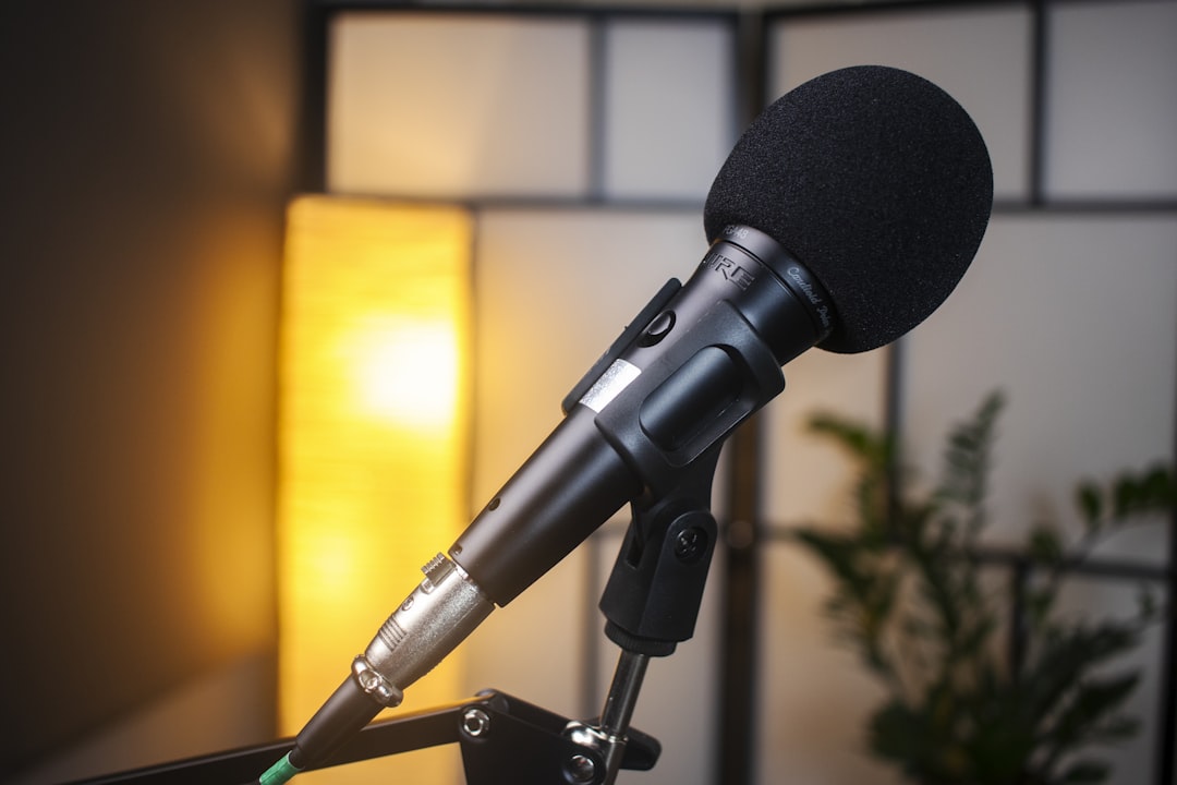 a black microphone on a stand,