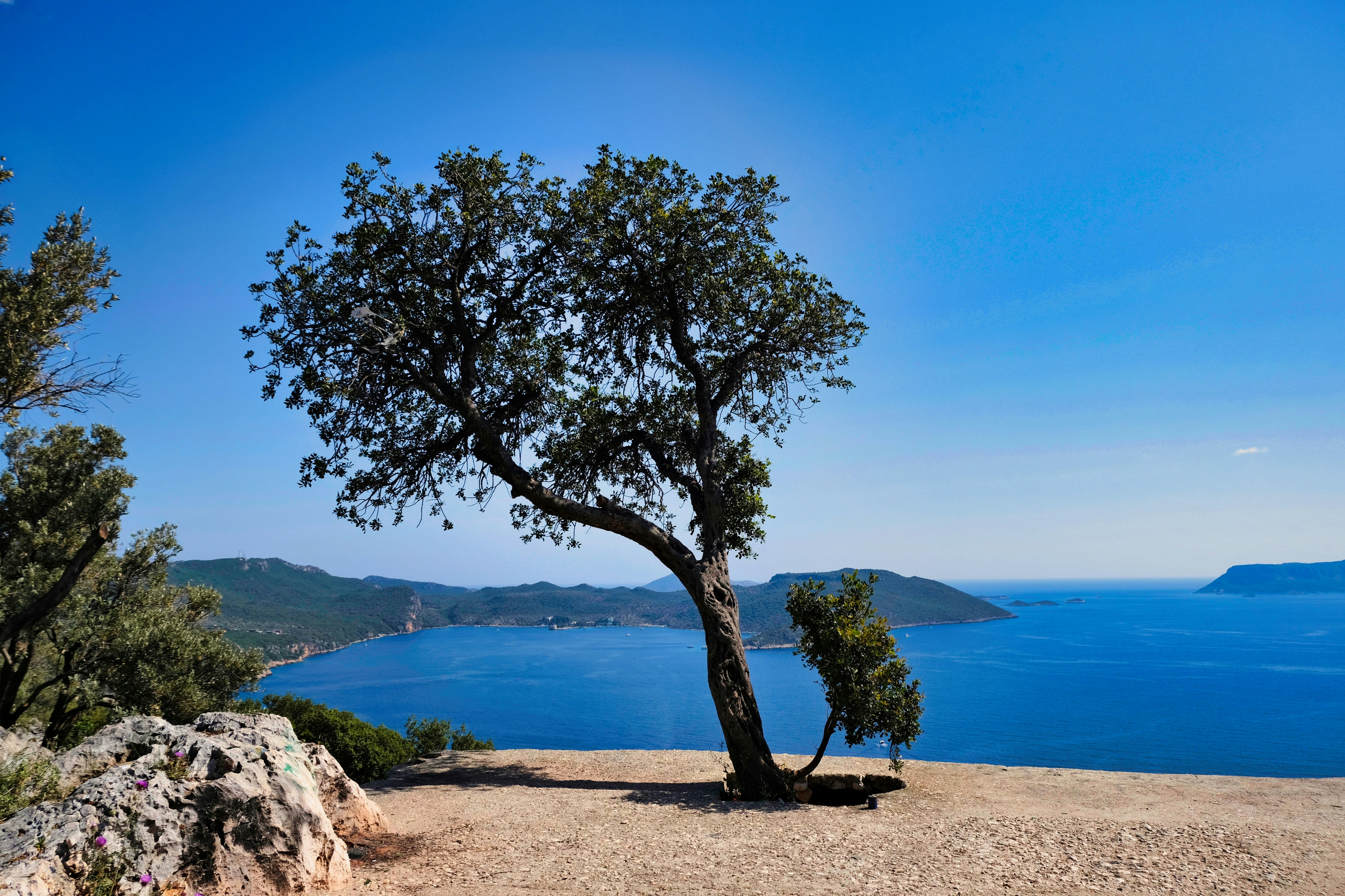 Photo by etienneflorent