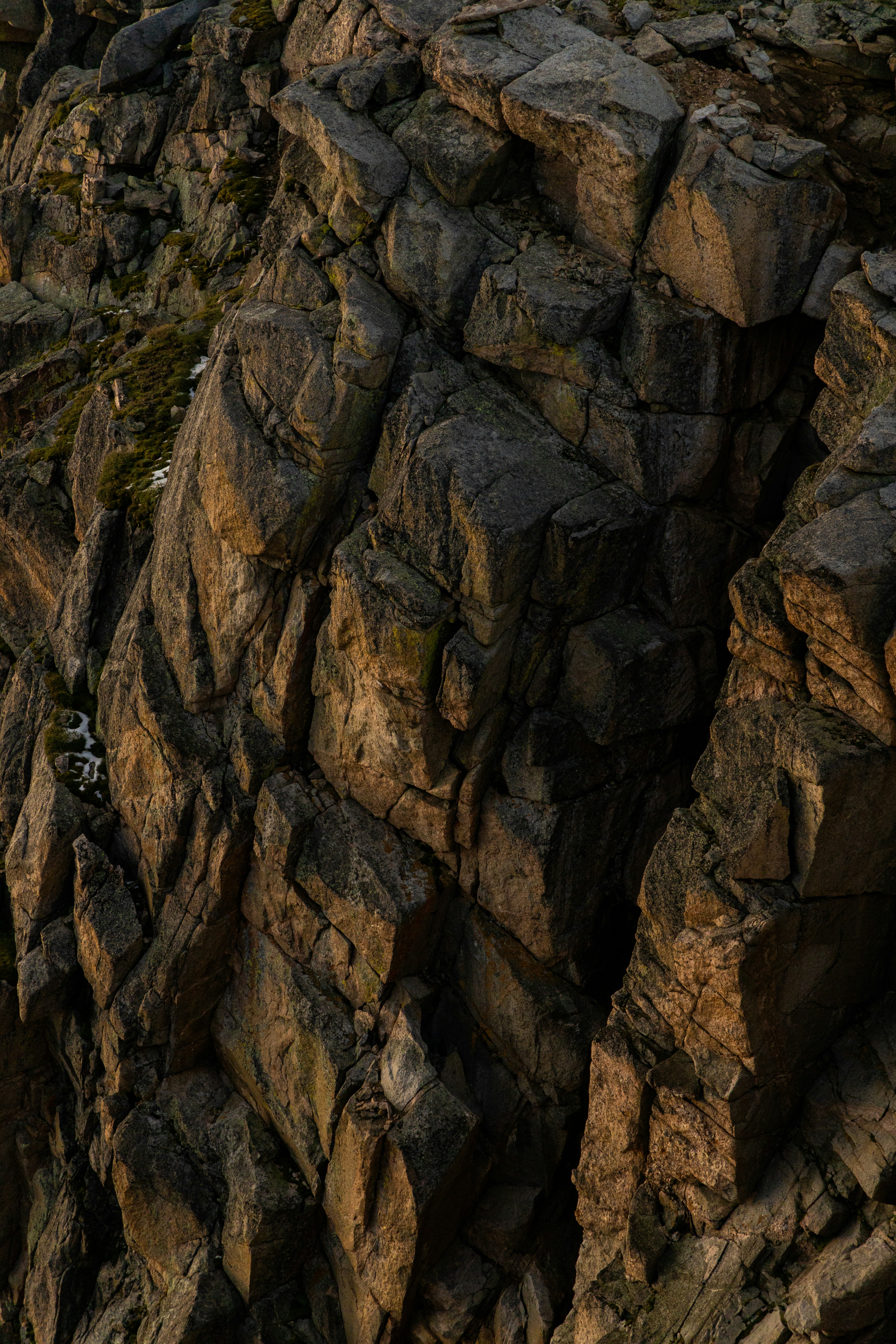 Photo by ldpeterson11