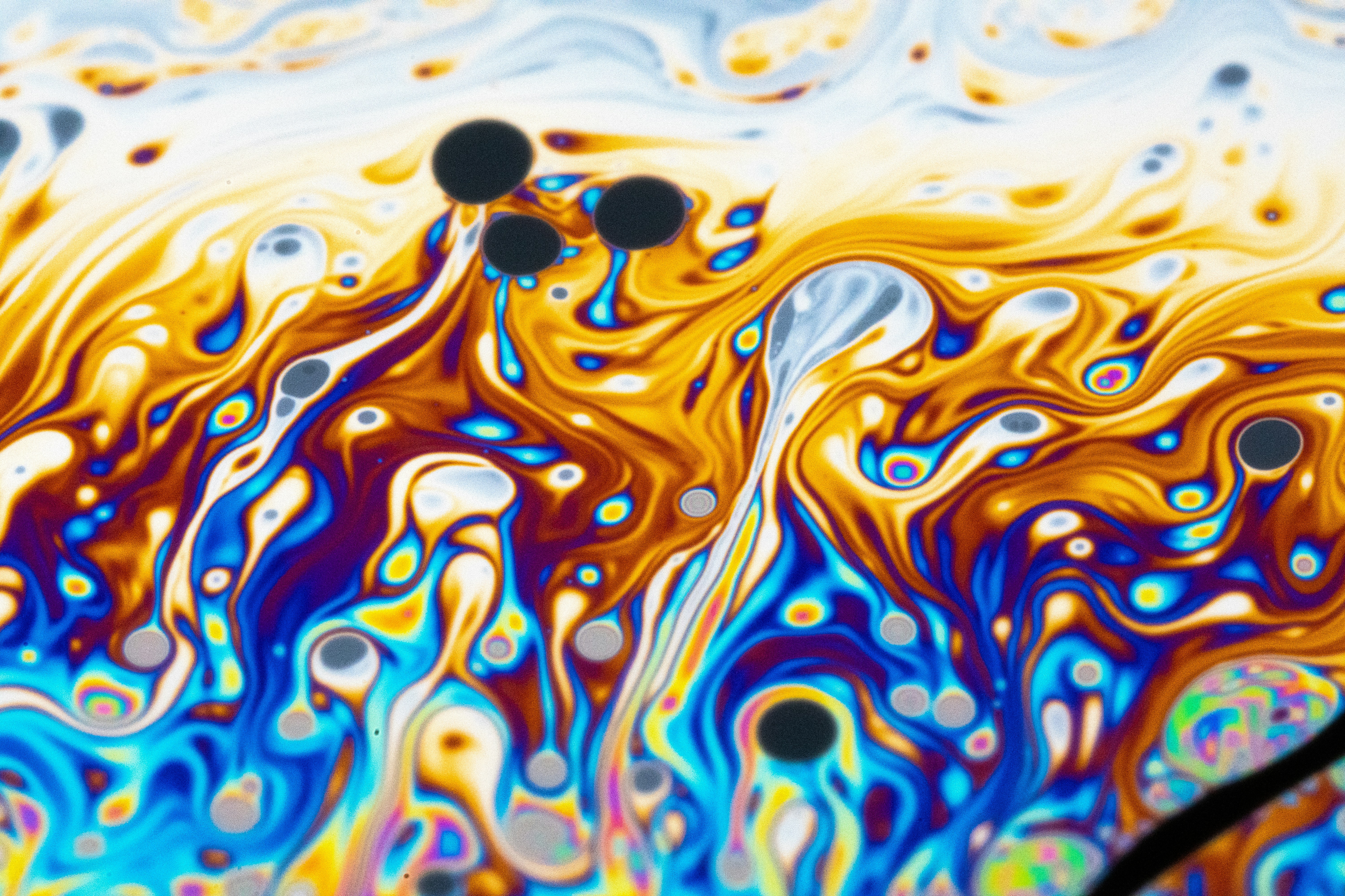 Photo by marcoangelo