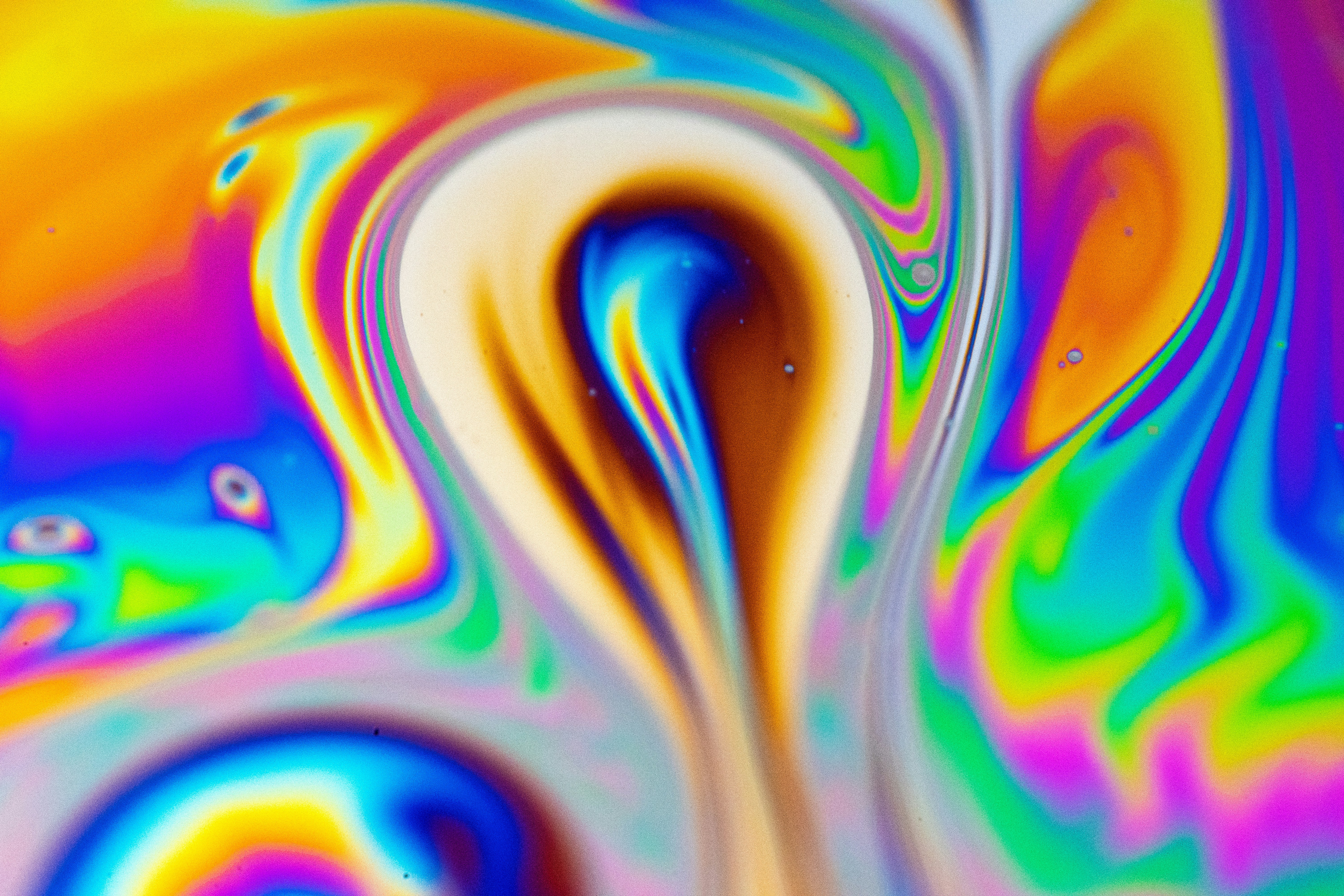 Photo by marcoangelo