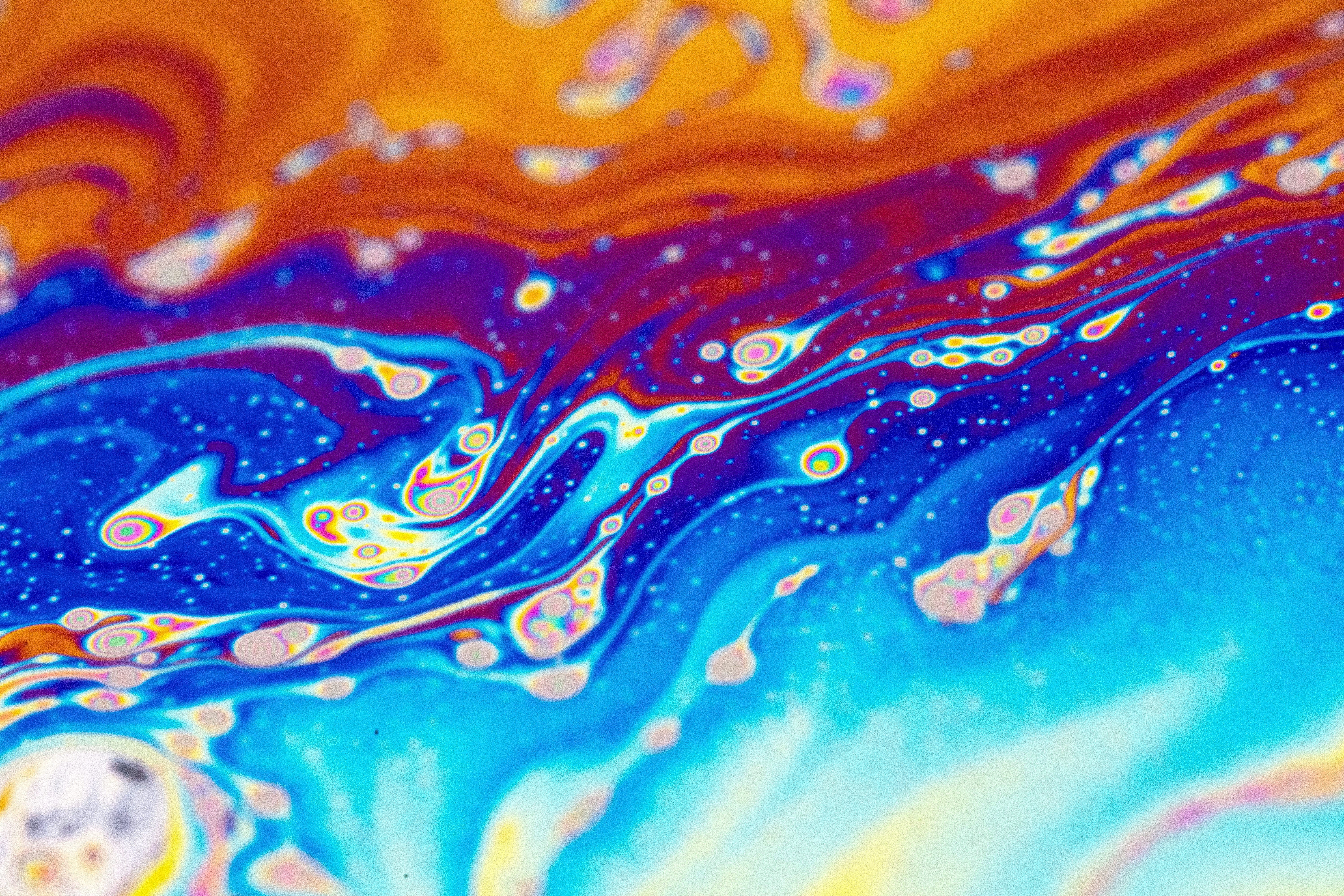 Photo by marcoangelo