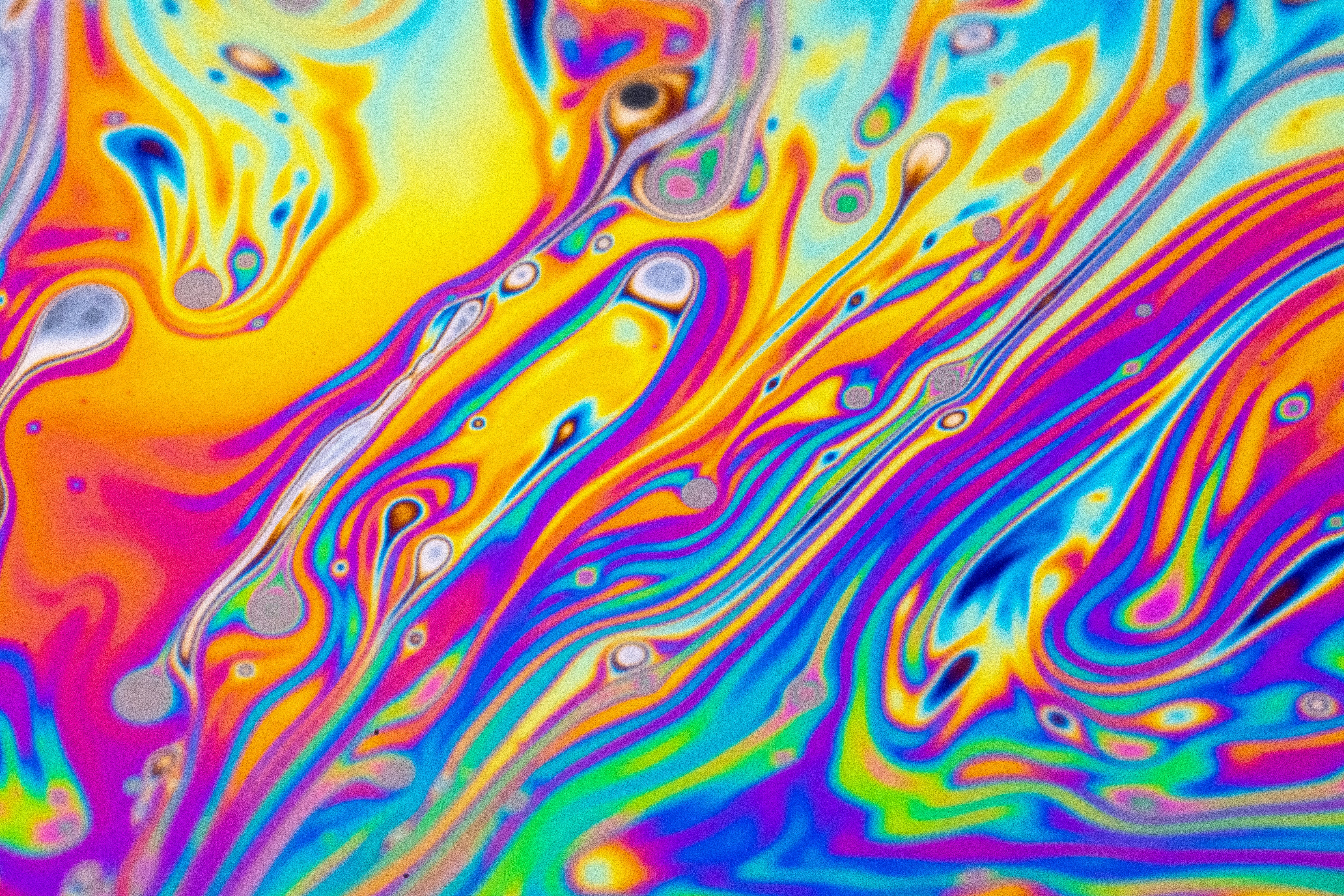 Photo by marcoangelo