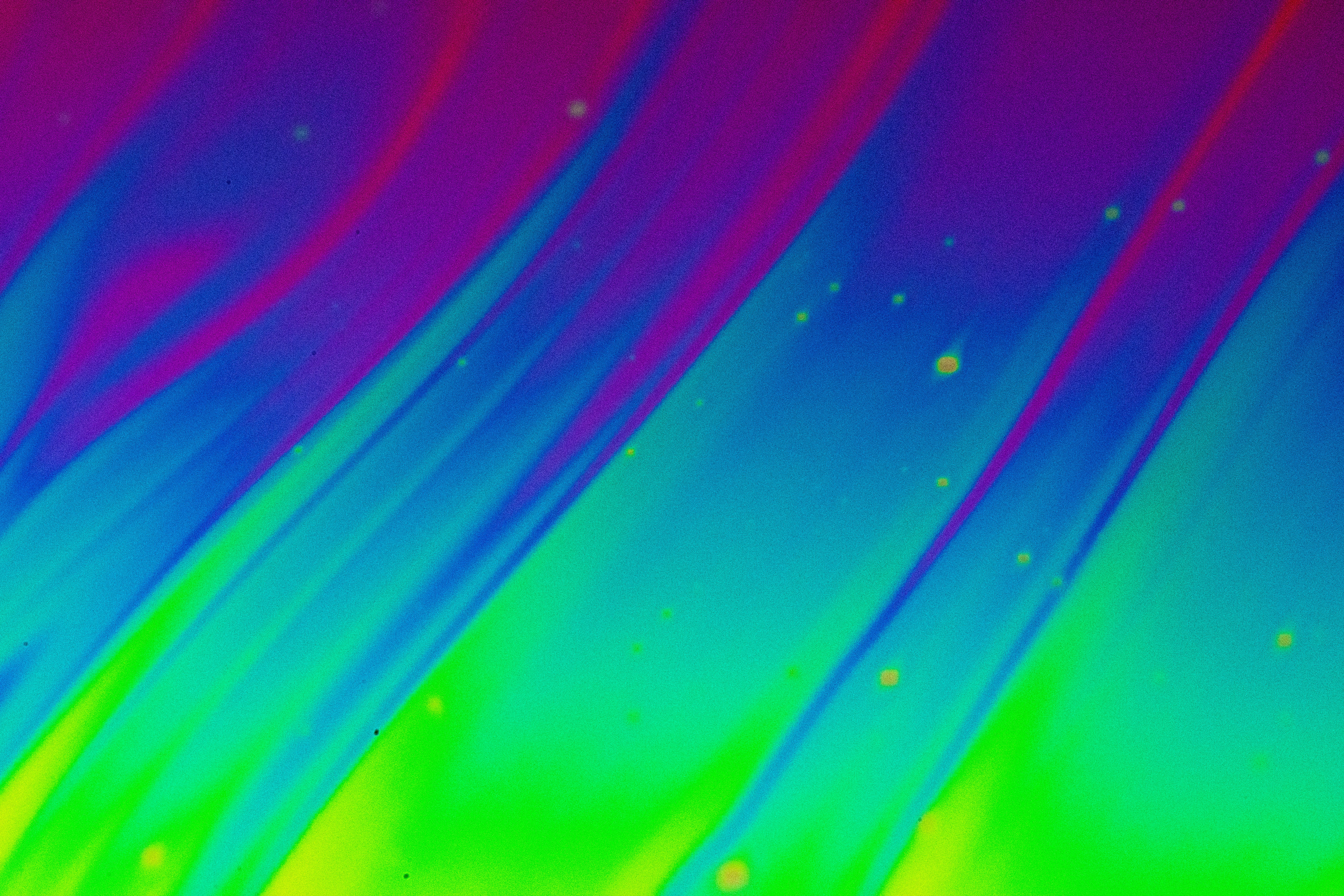 Photo by marcoangelo