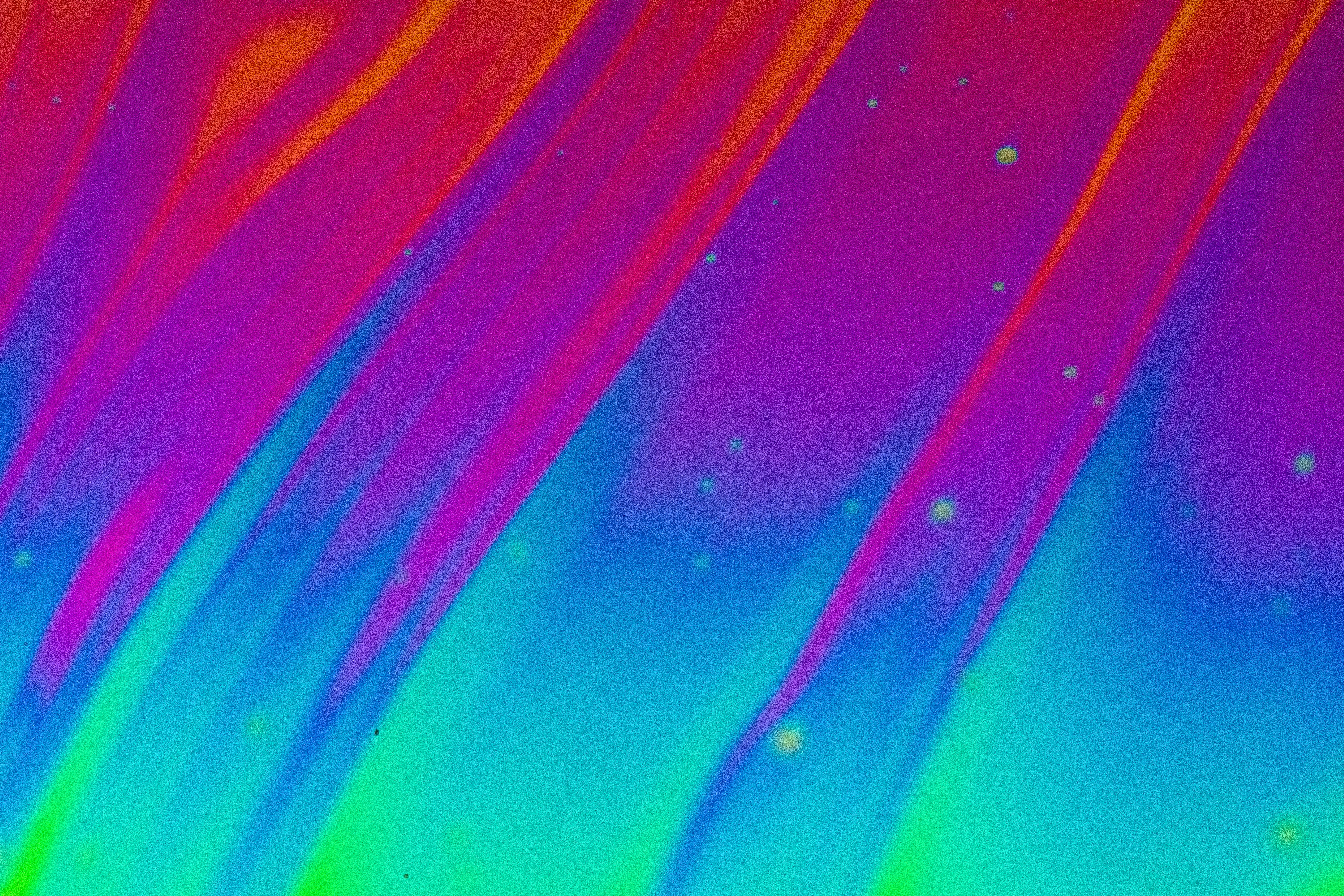 Photo by marcoangelo