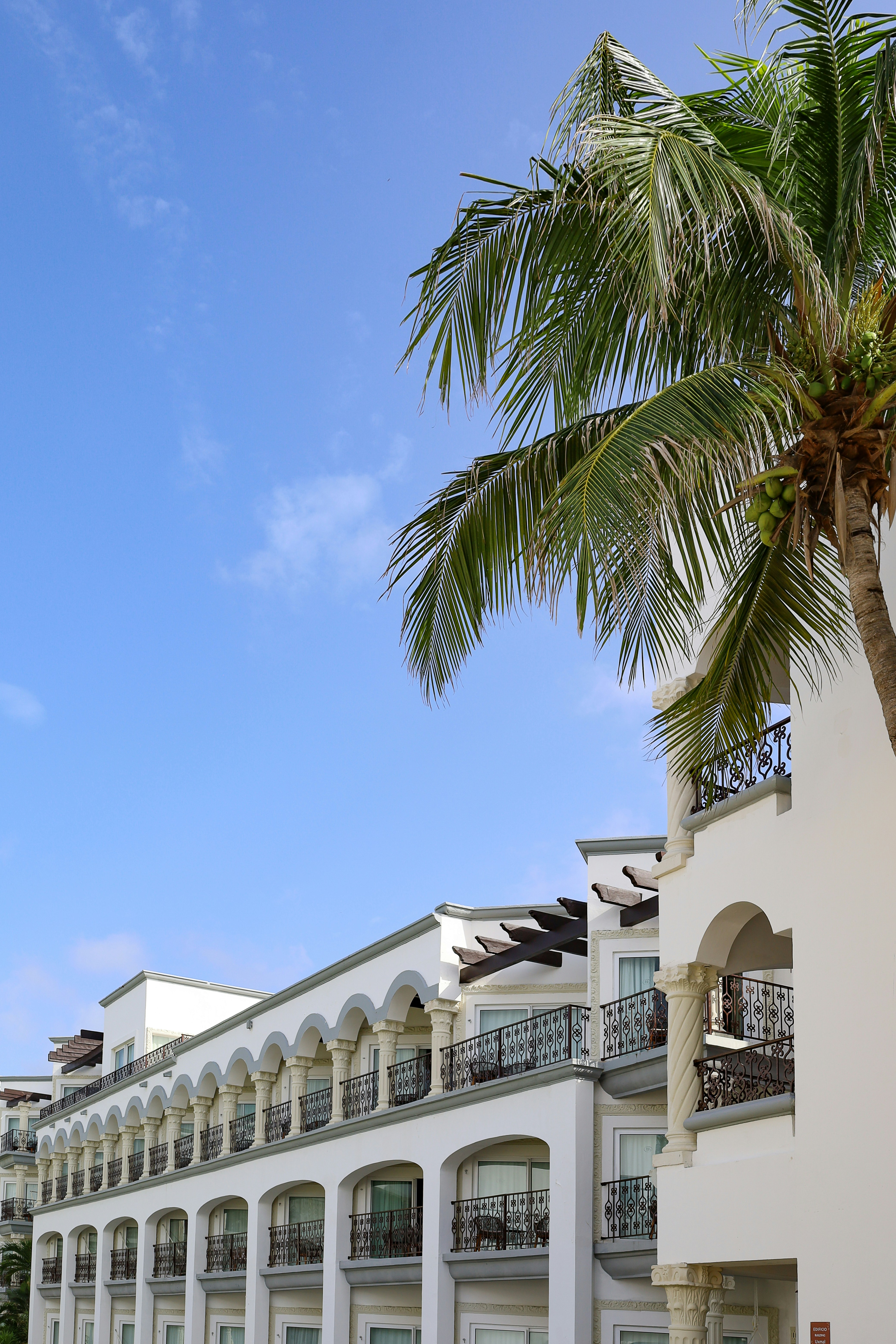 Photo by rosemarymedia