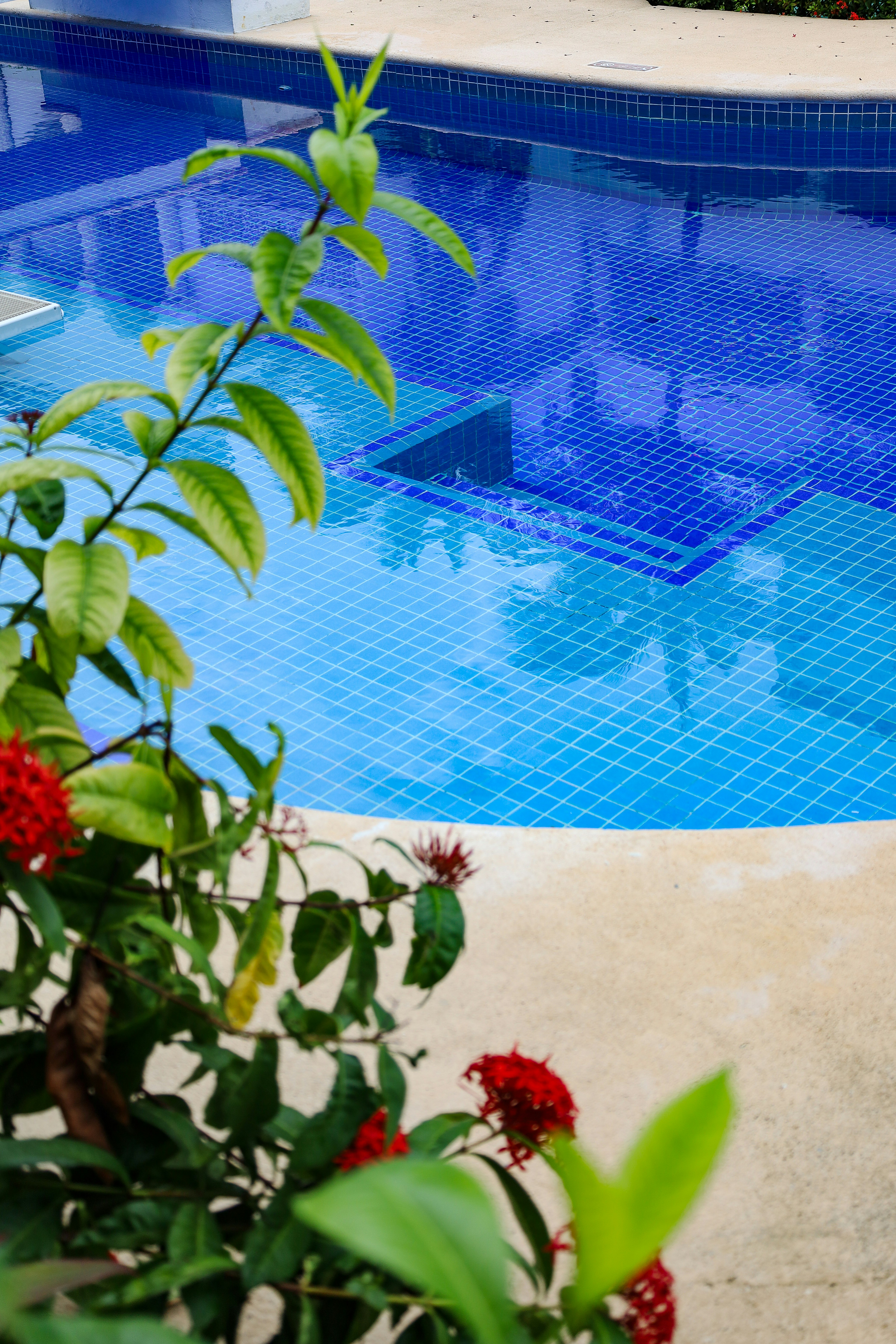 Photo by rosemarymedia