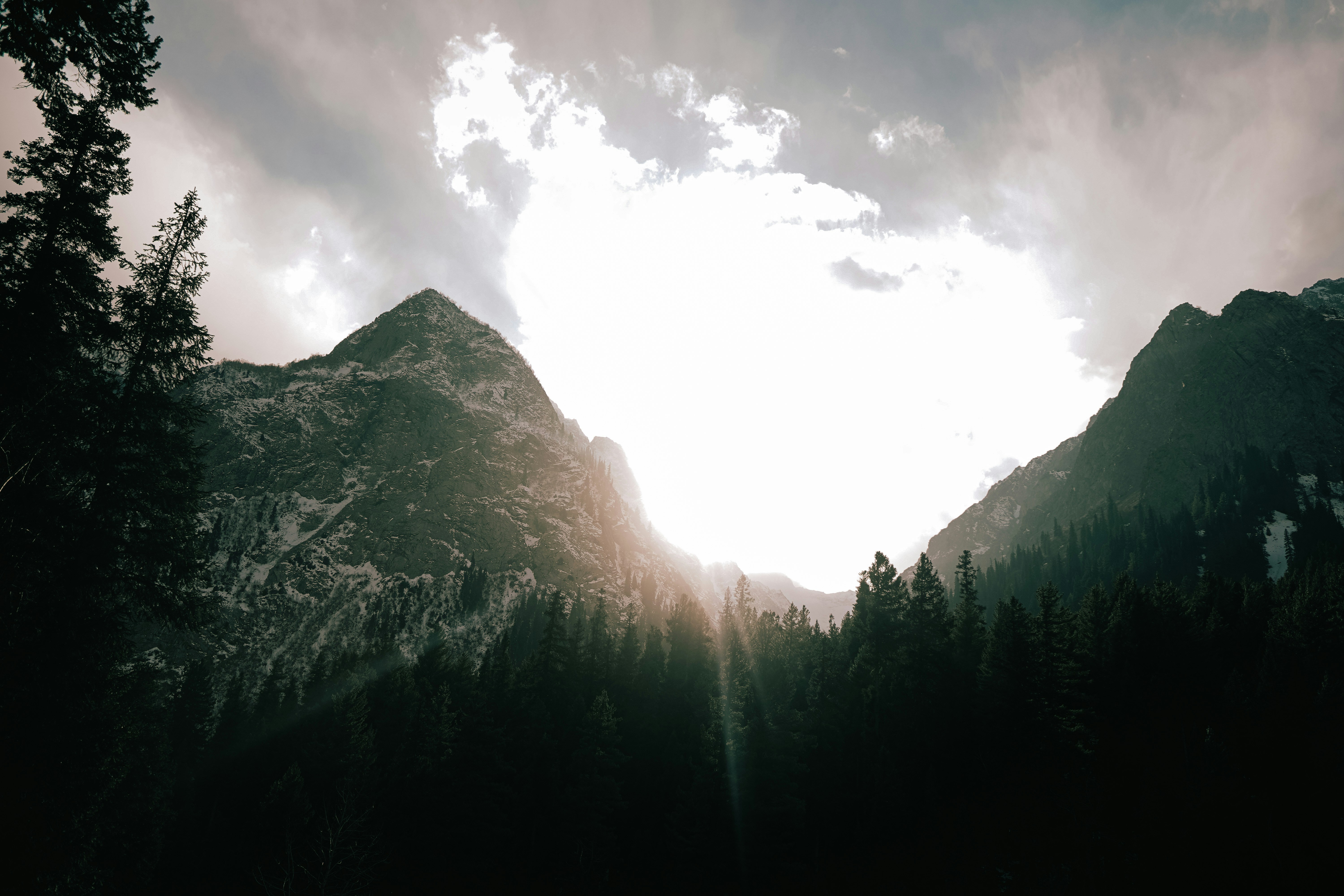 Photo by aliclicks306