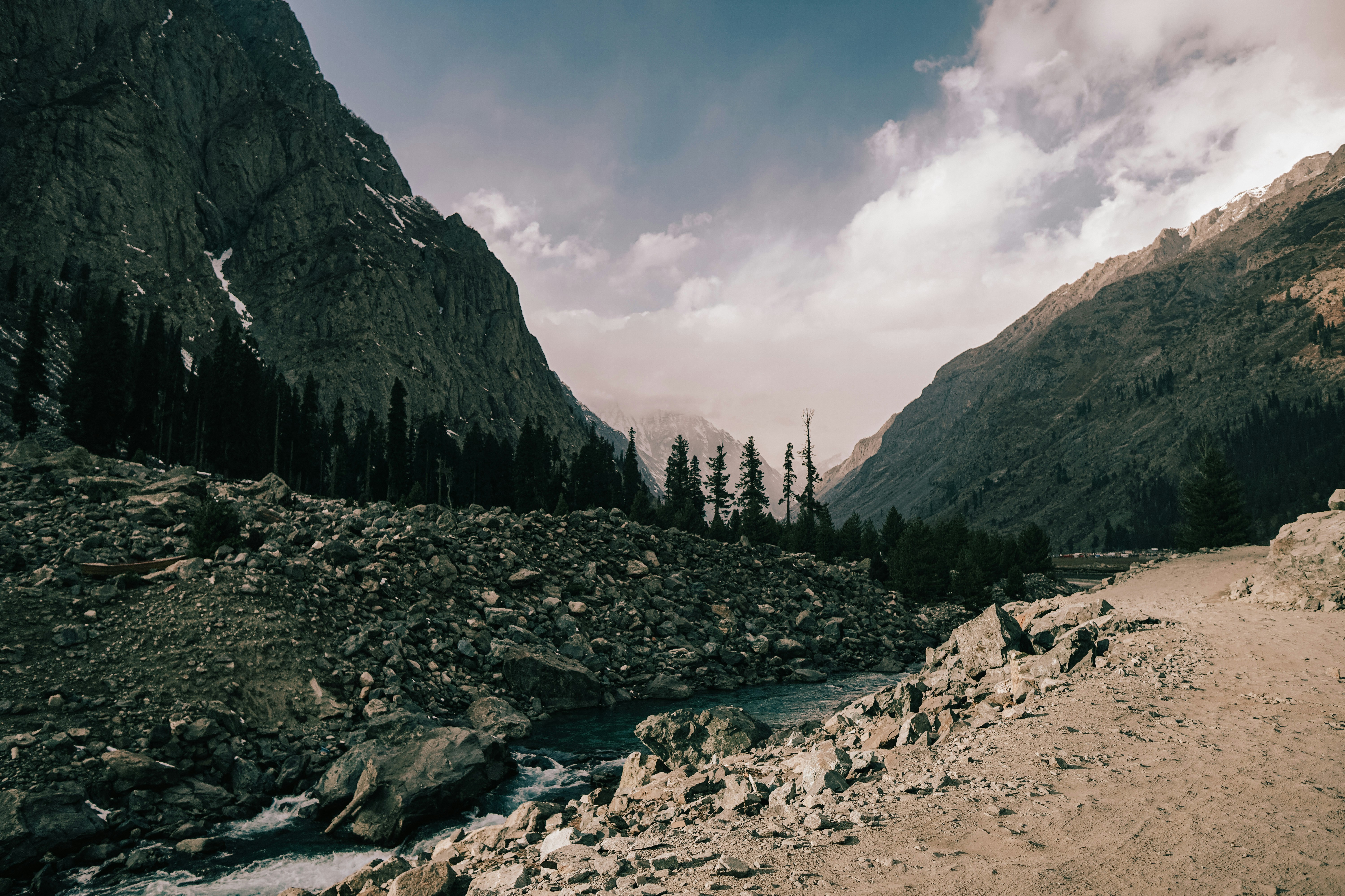 Photo by aliclicks306