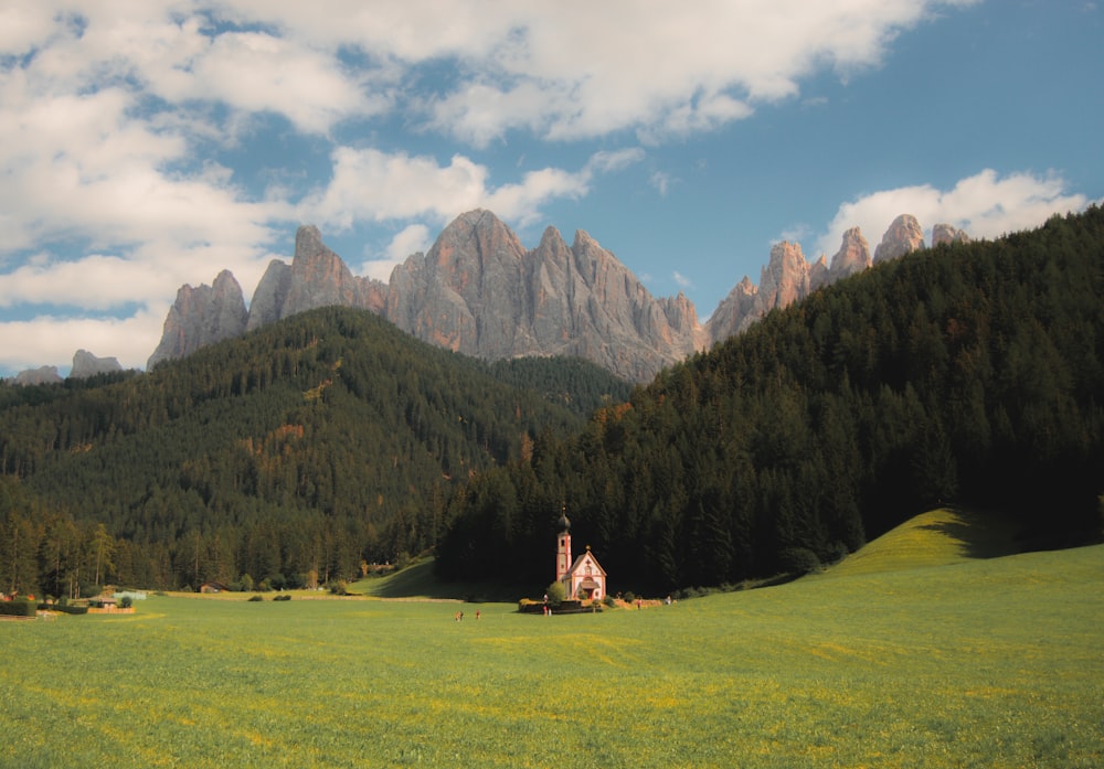 a grassy field with trees and mountains in the background