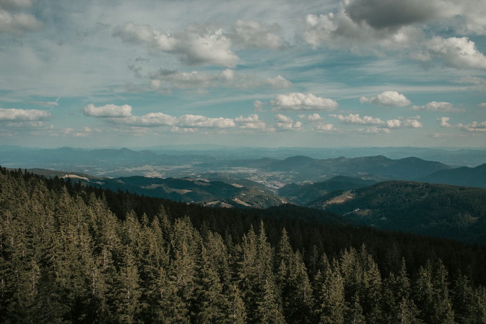 a landscape with trees and mountains in the back