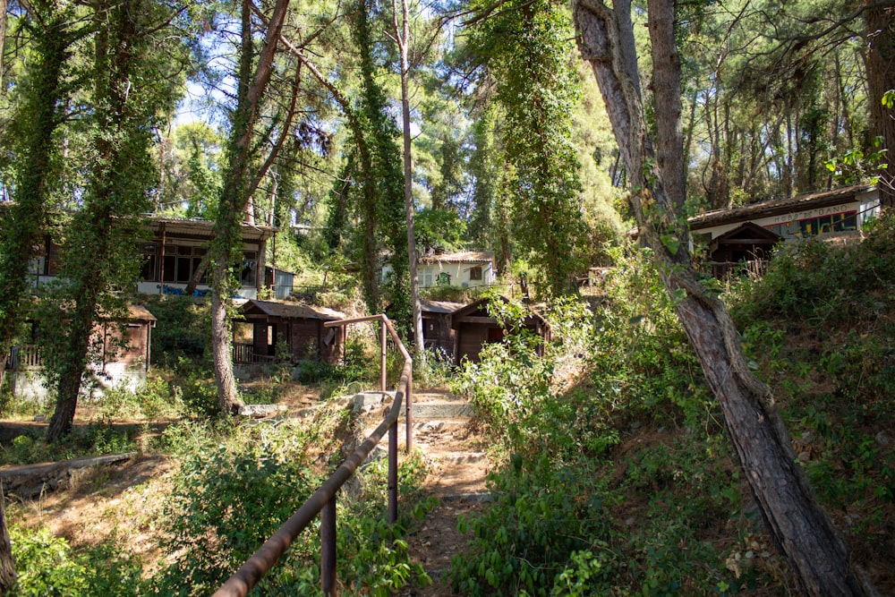 a group of houses in the woods