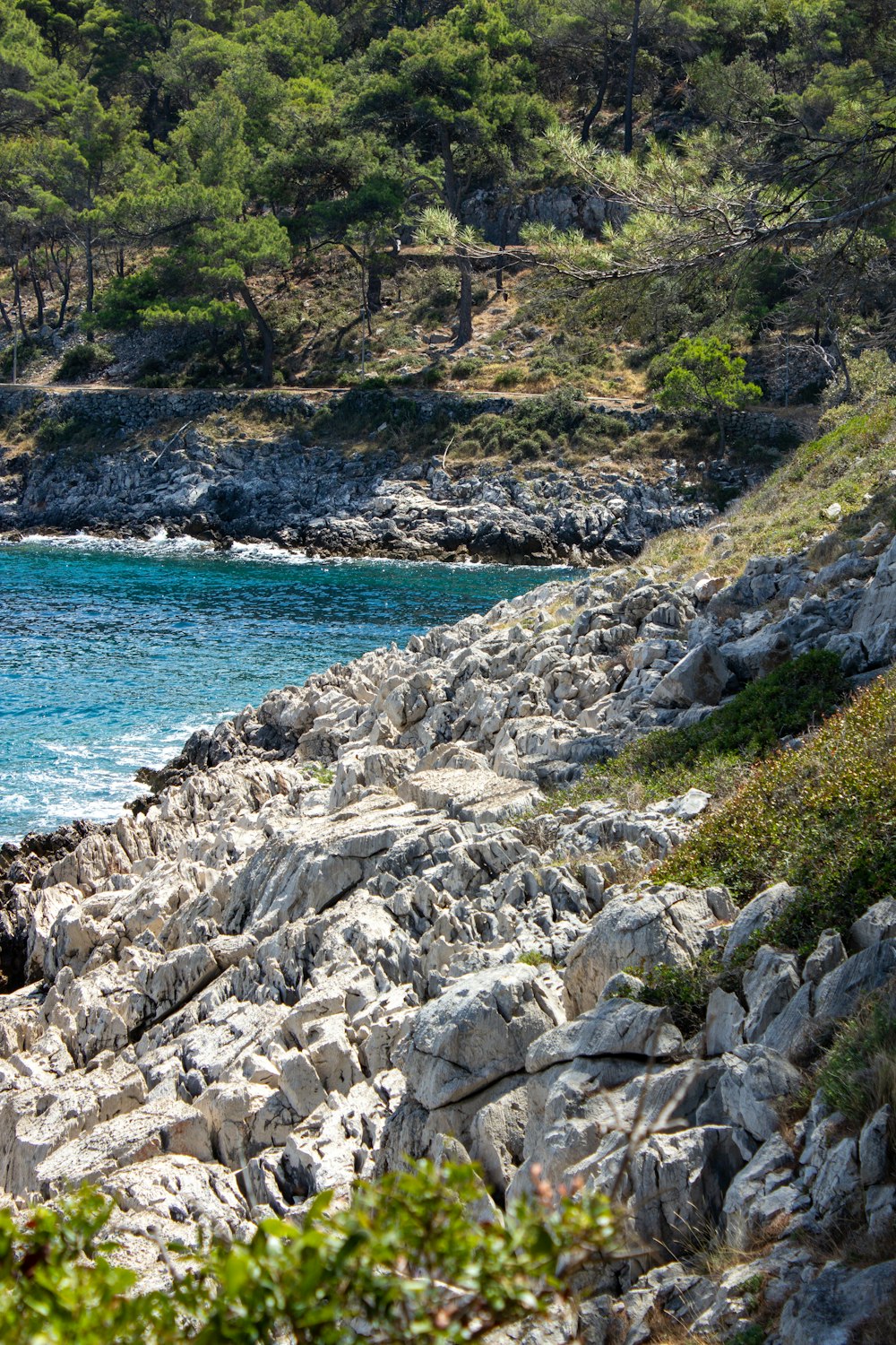 a rocky beach with trees and a body of water