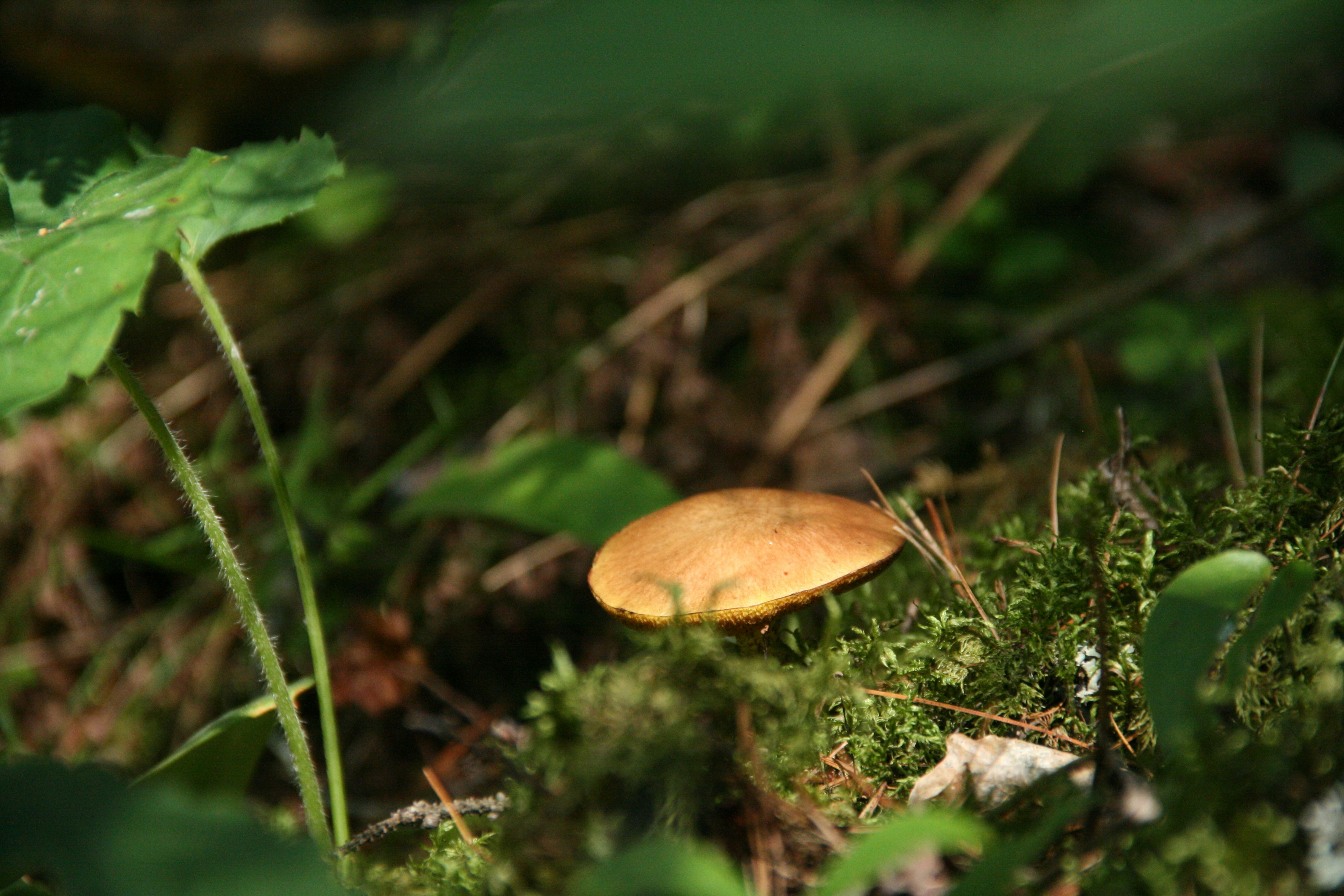 Photo by jmadventures