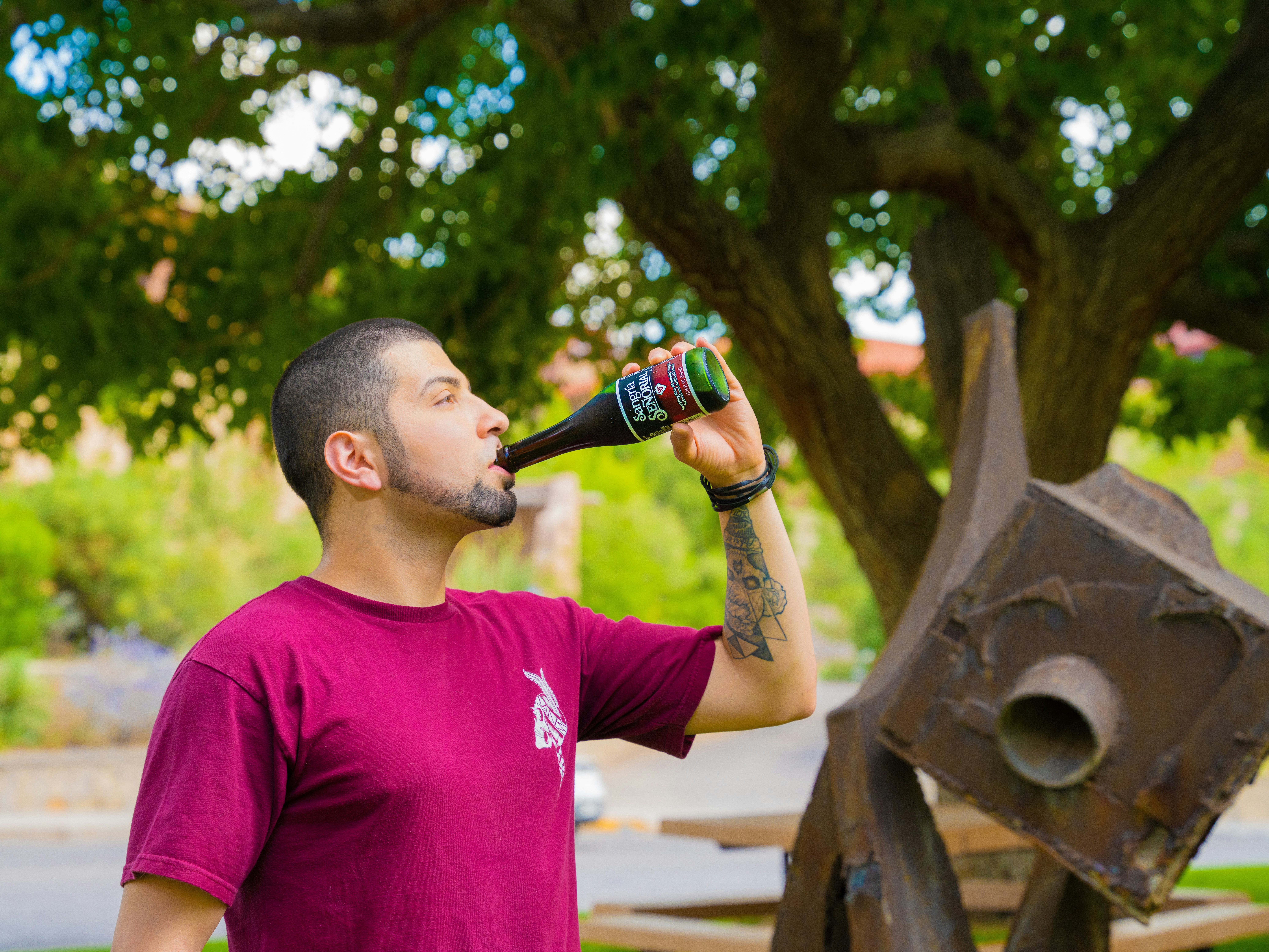 Scientific Evidence and Mechanisms of Action