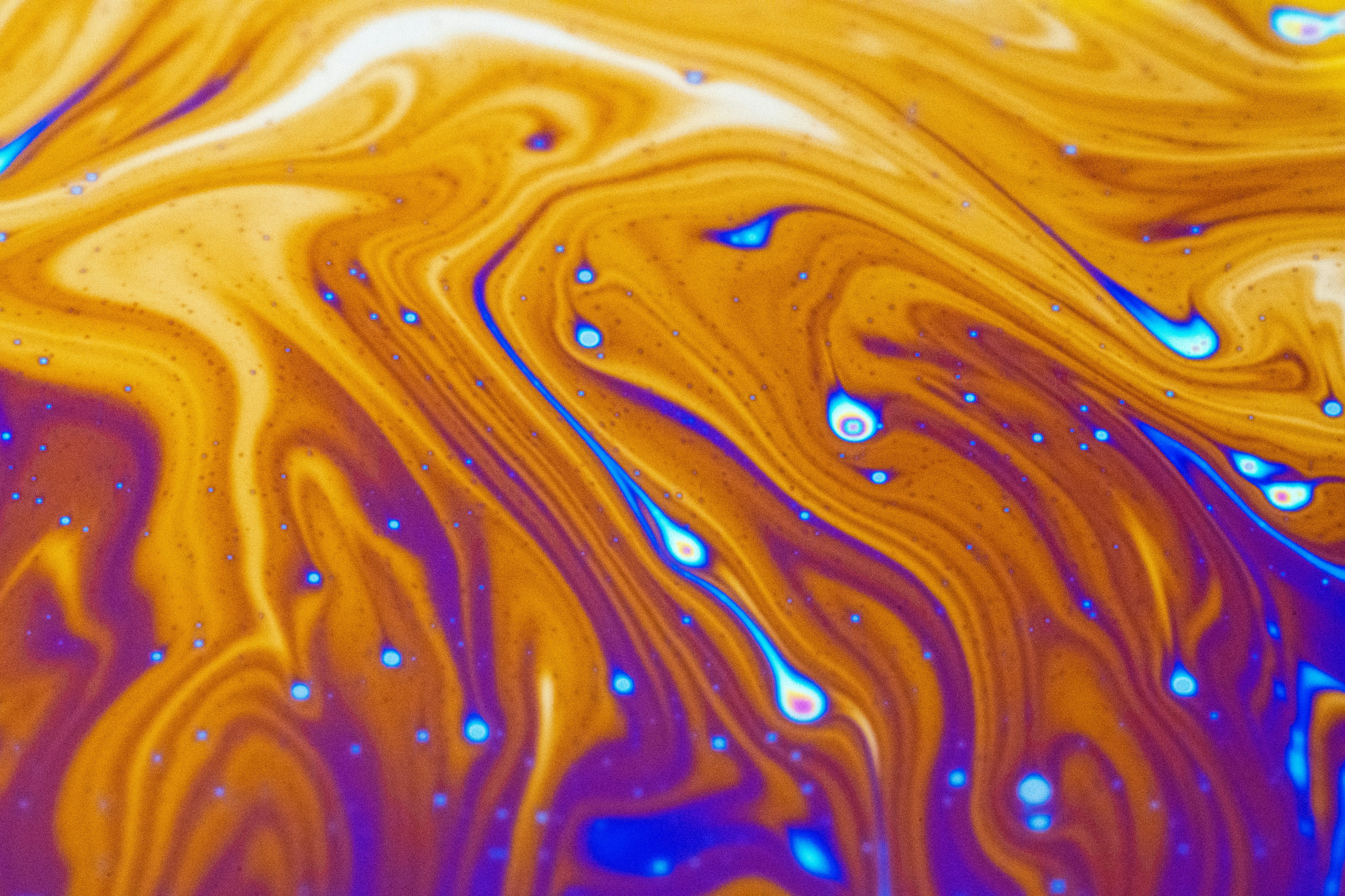 Photo by marcoangelo