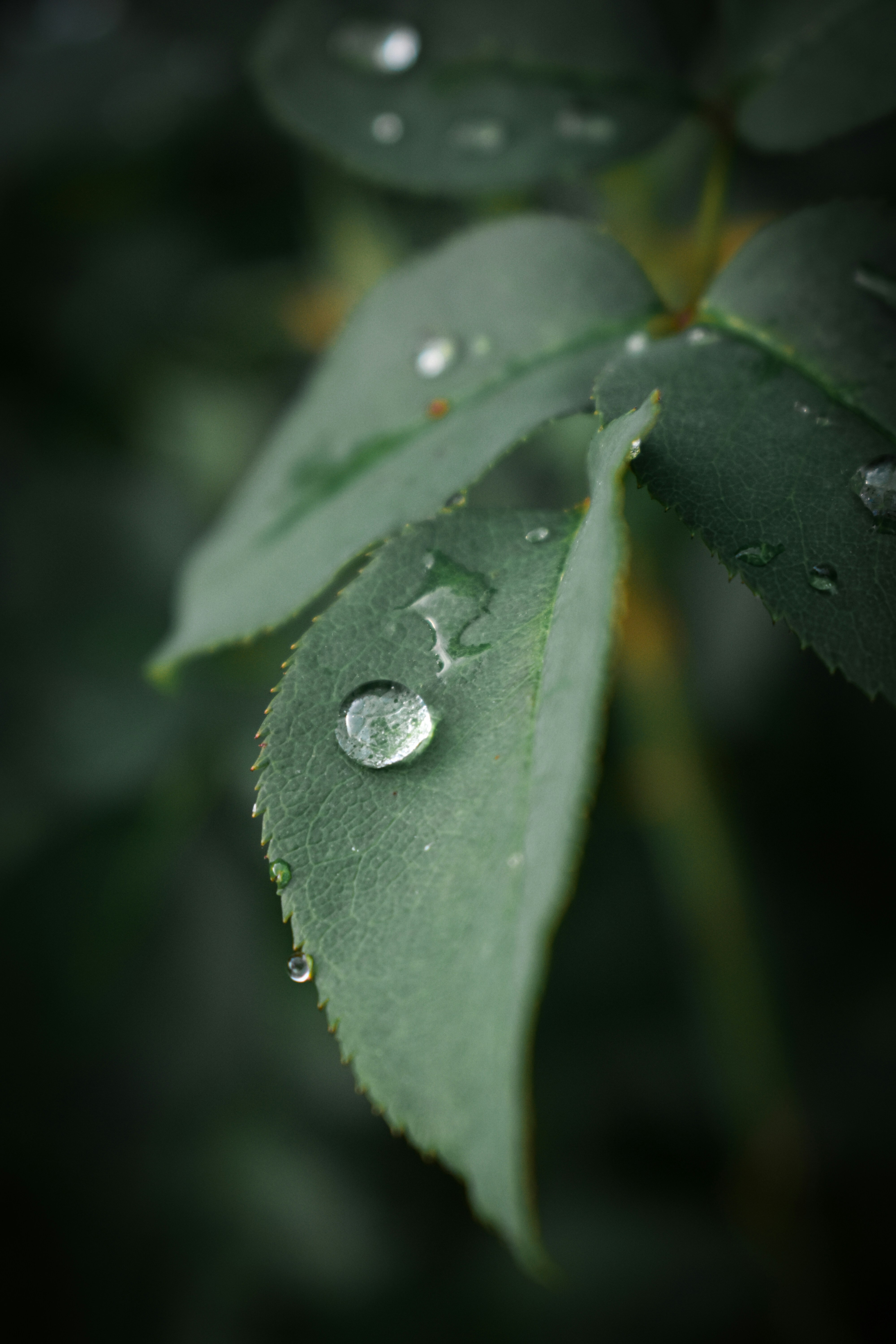 Photo by andreeamarialoga