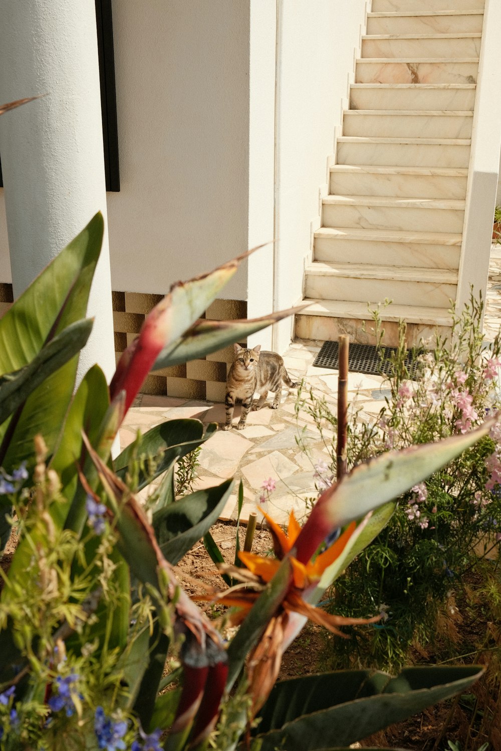 Un gato sentado en una planta