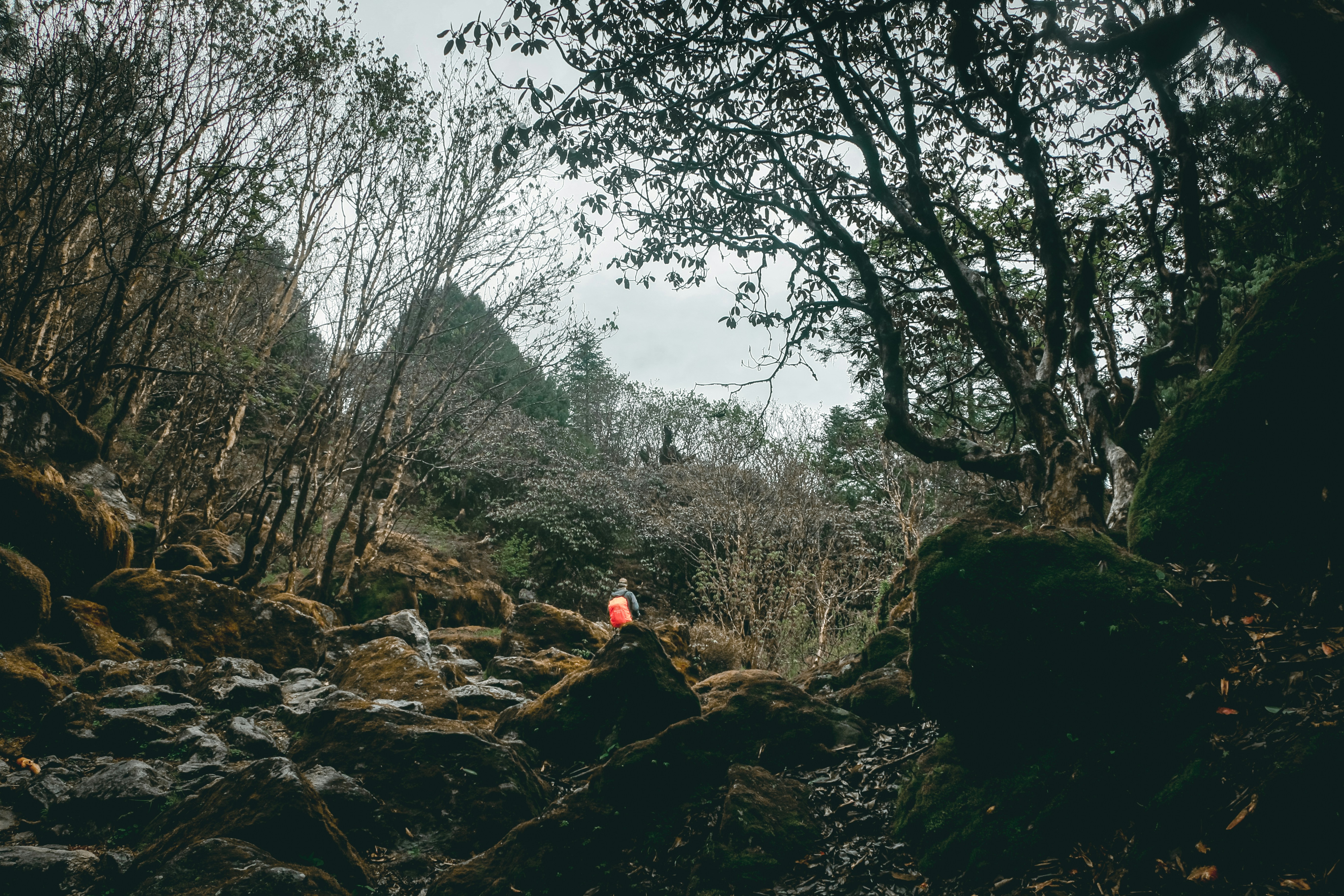 Photo by neha1301039