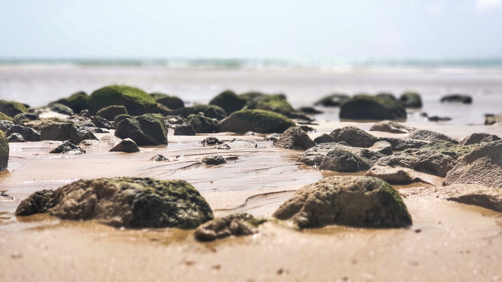 a group of rocks on a beach